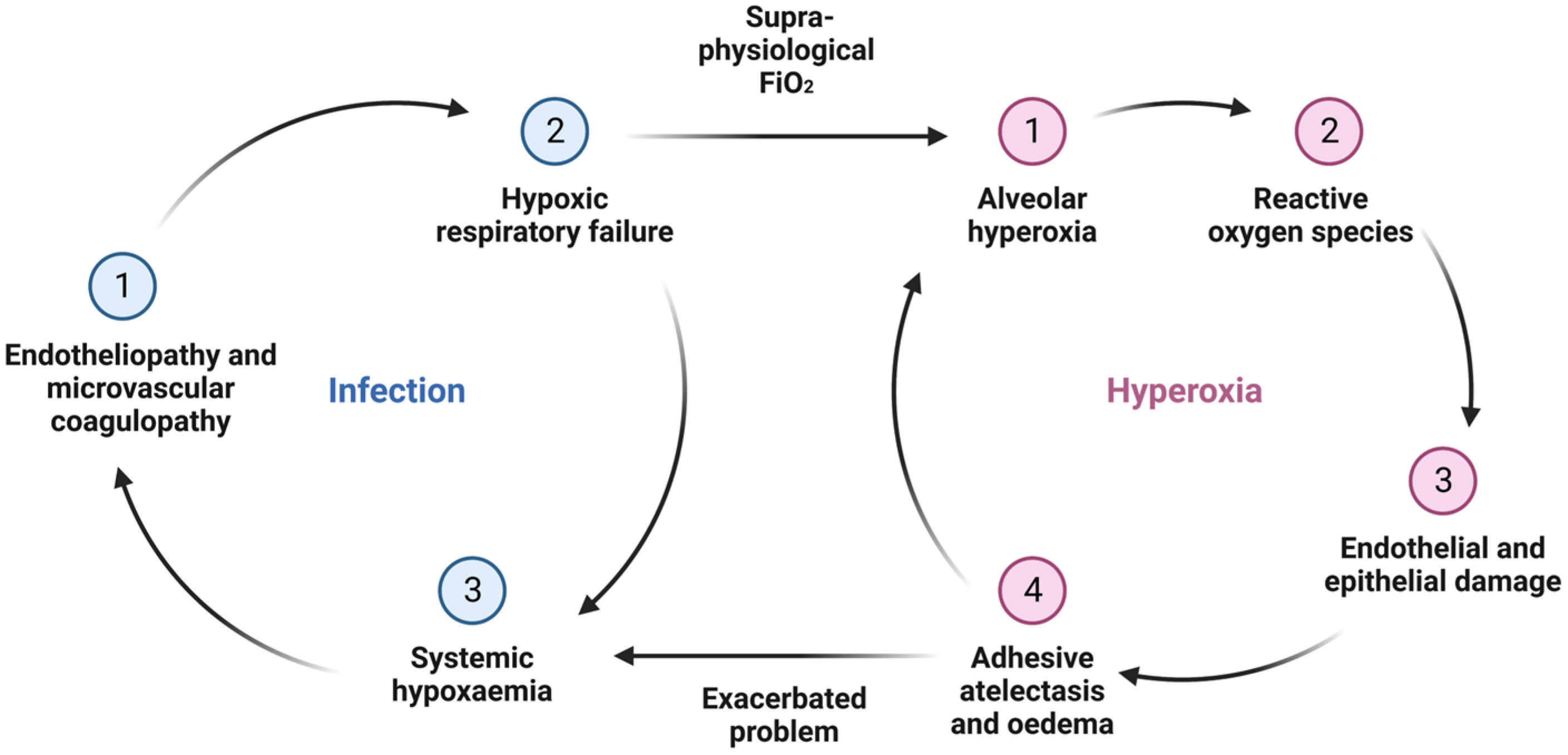 Medsci 11 00070 g001
