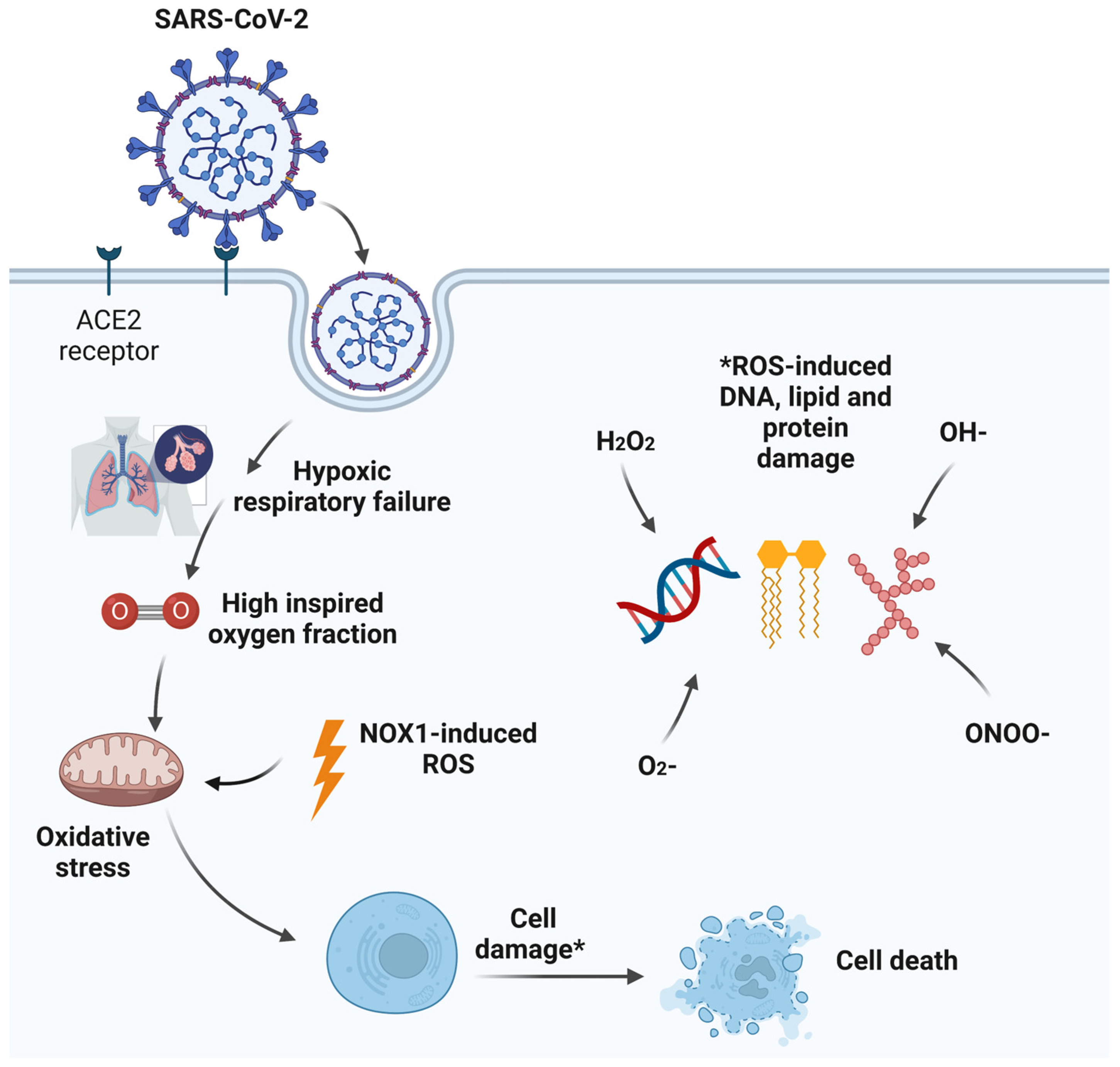 Medsci 11 00070 g002