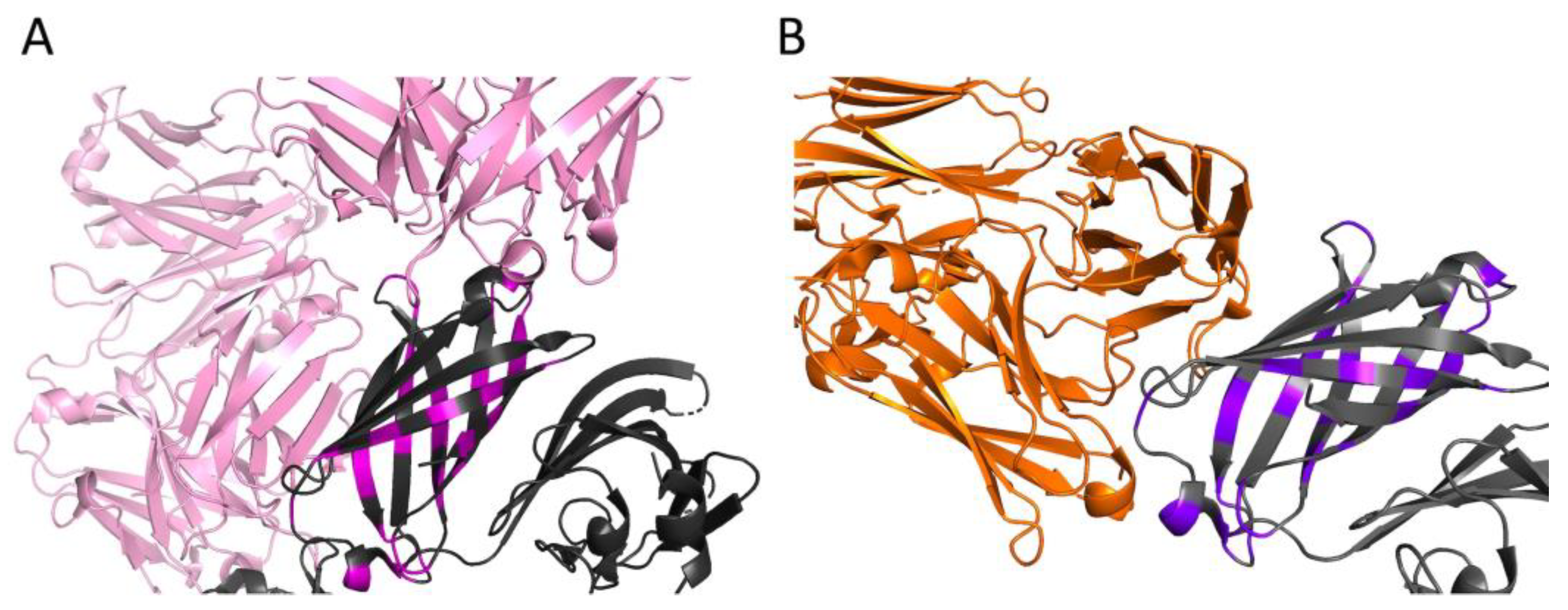 Medsci 11 00076 g005
