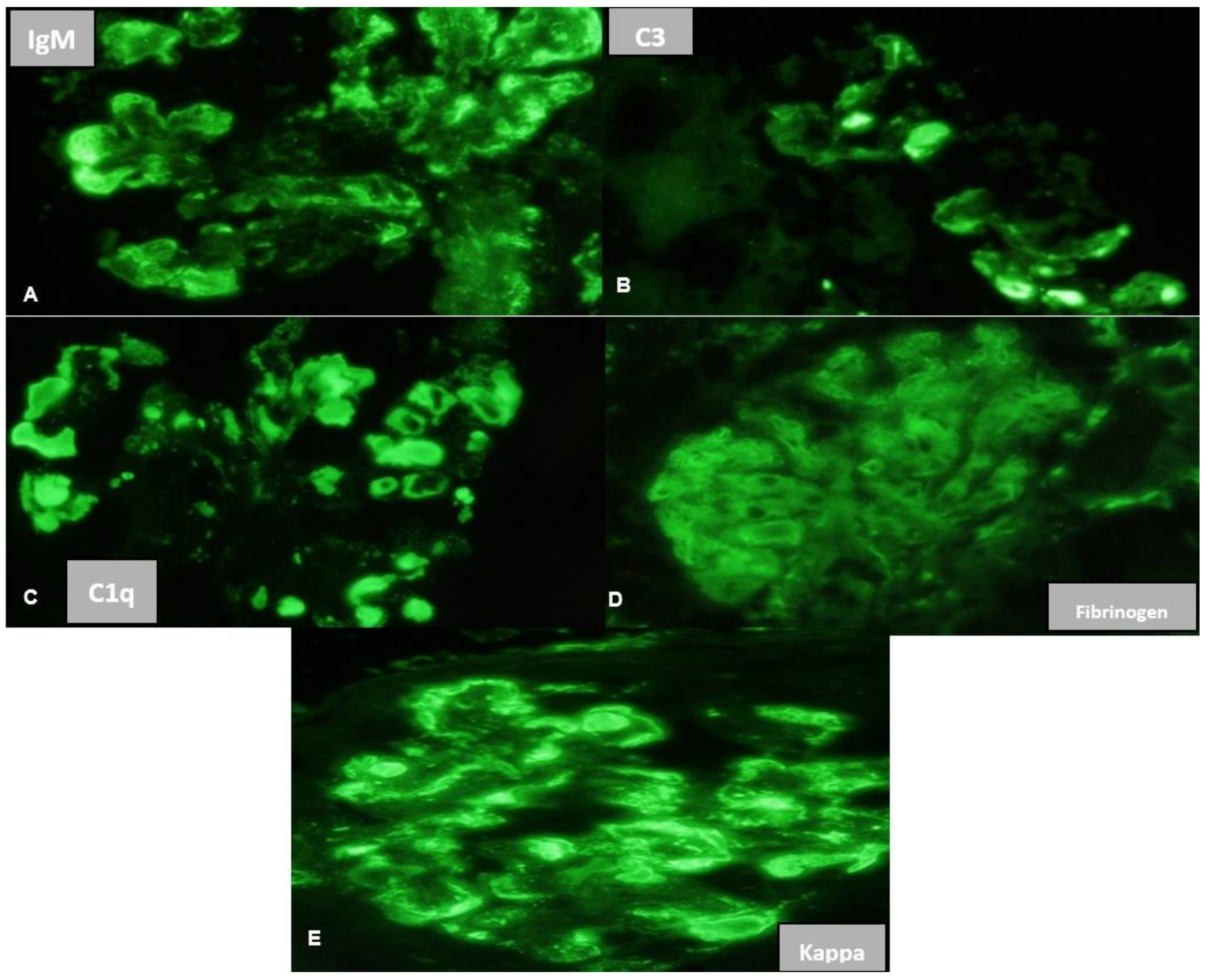 Medsci 11 00077 g002