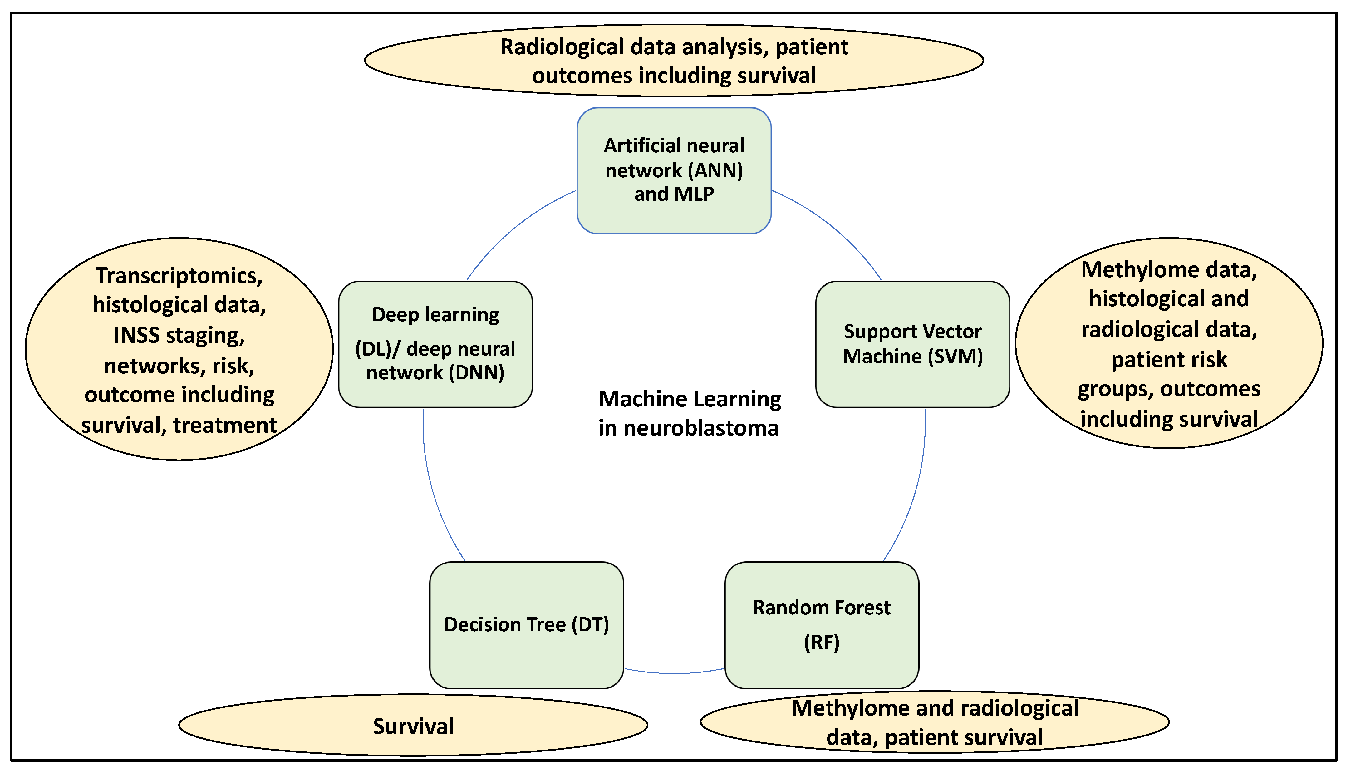 Medsci 12 00005 g001