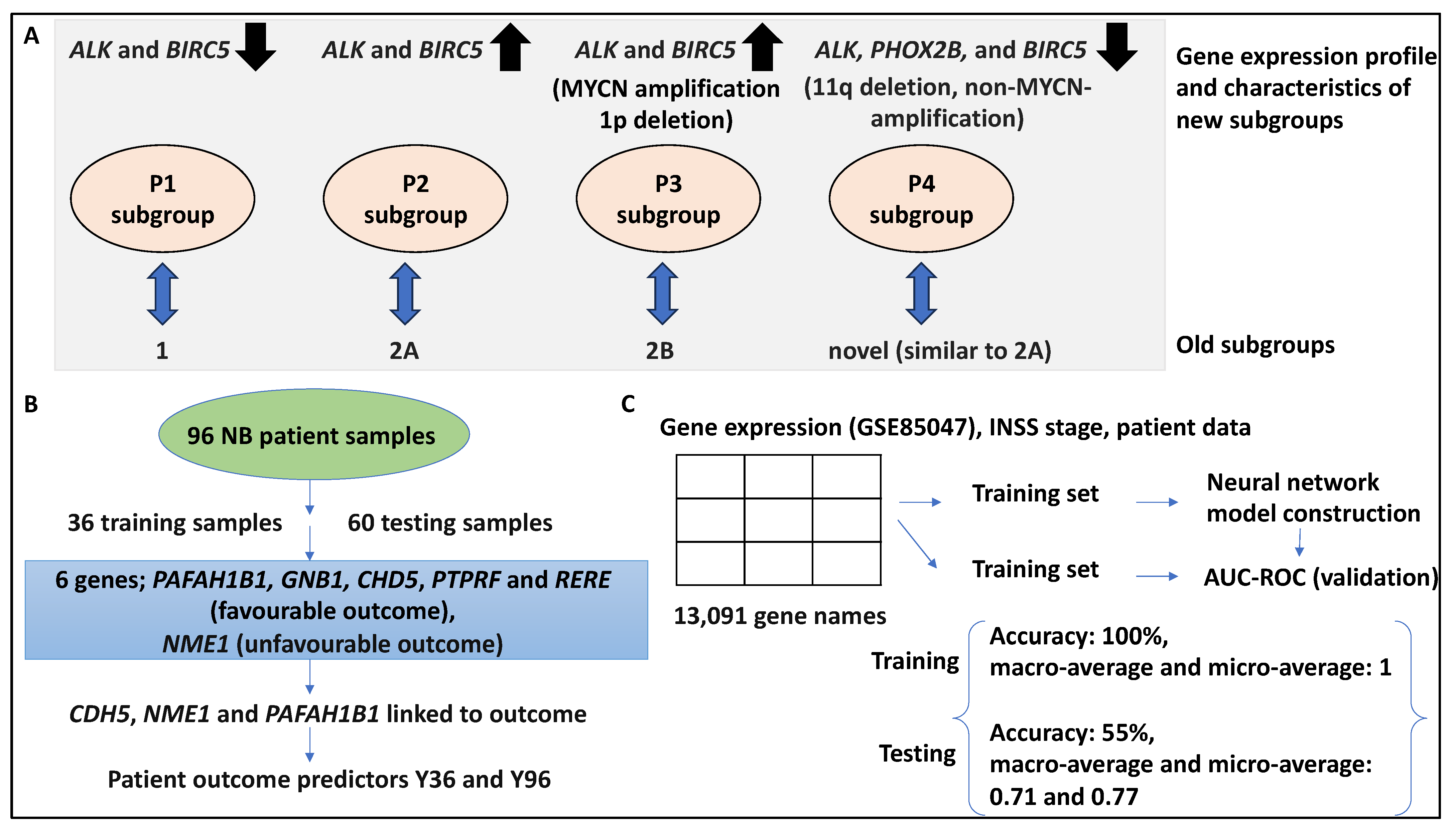 Medsci 12 00005 g002