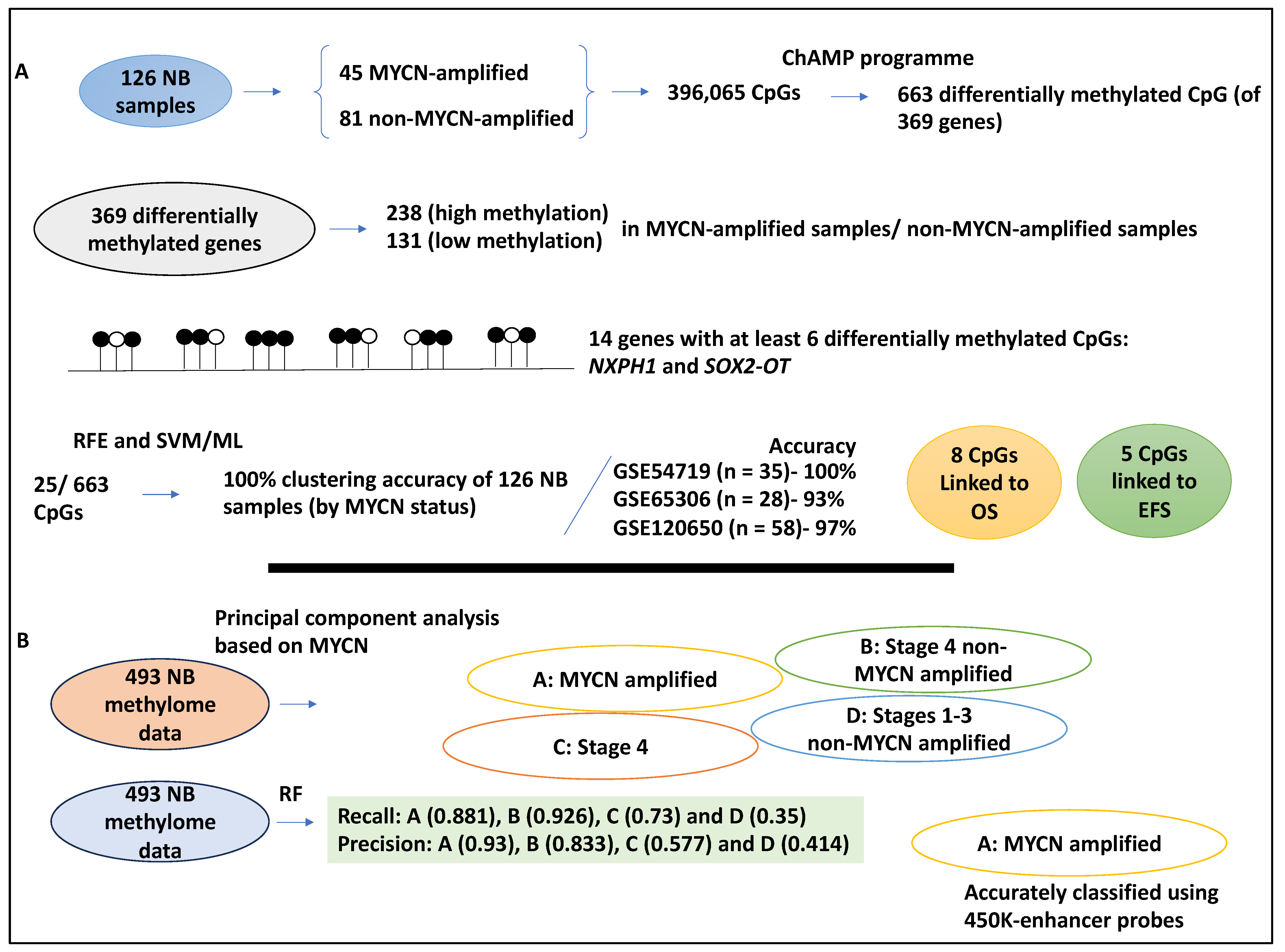 Medsci 12 00005 g003