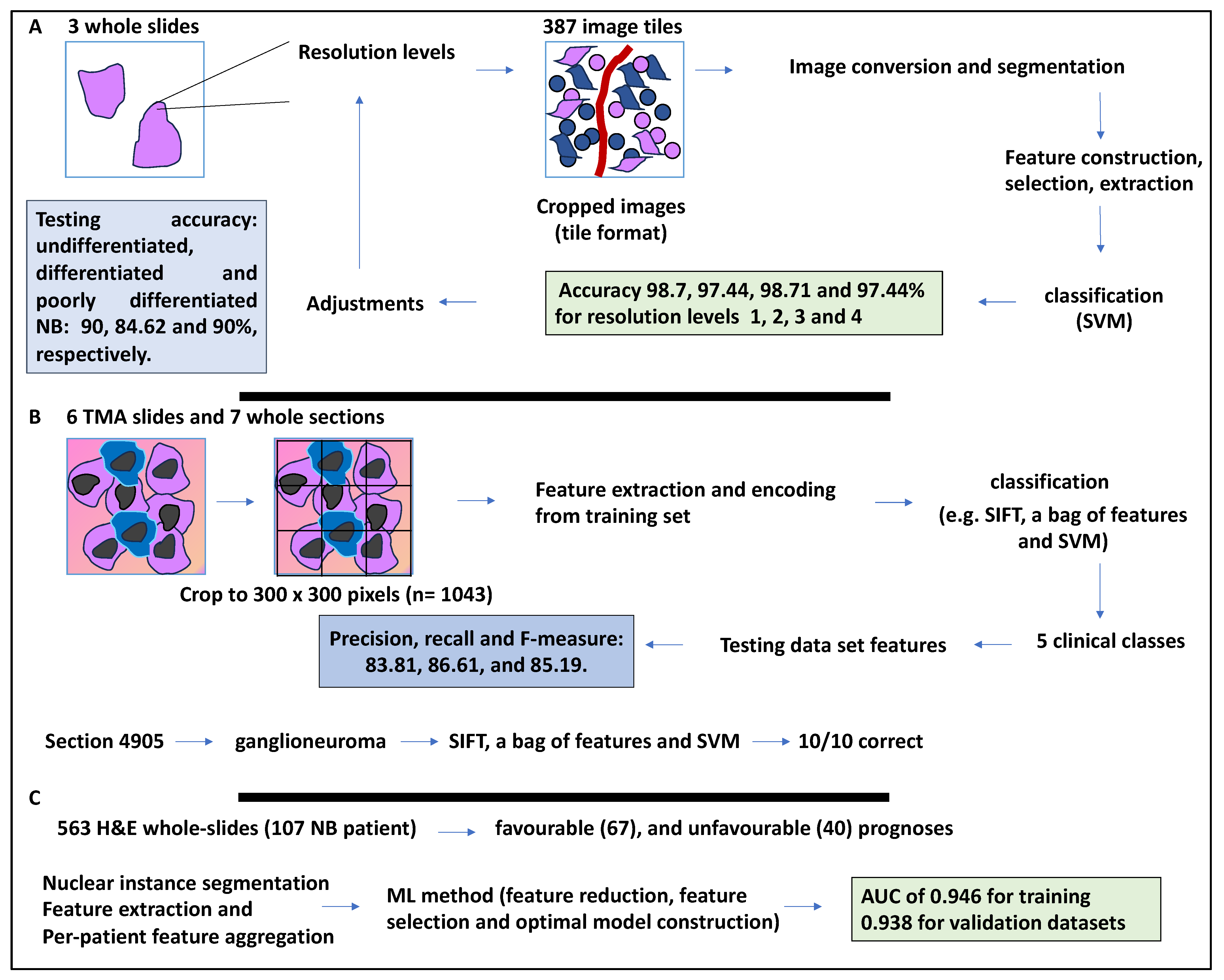 Medsci 12 00005 g004