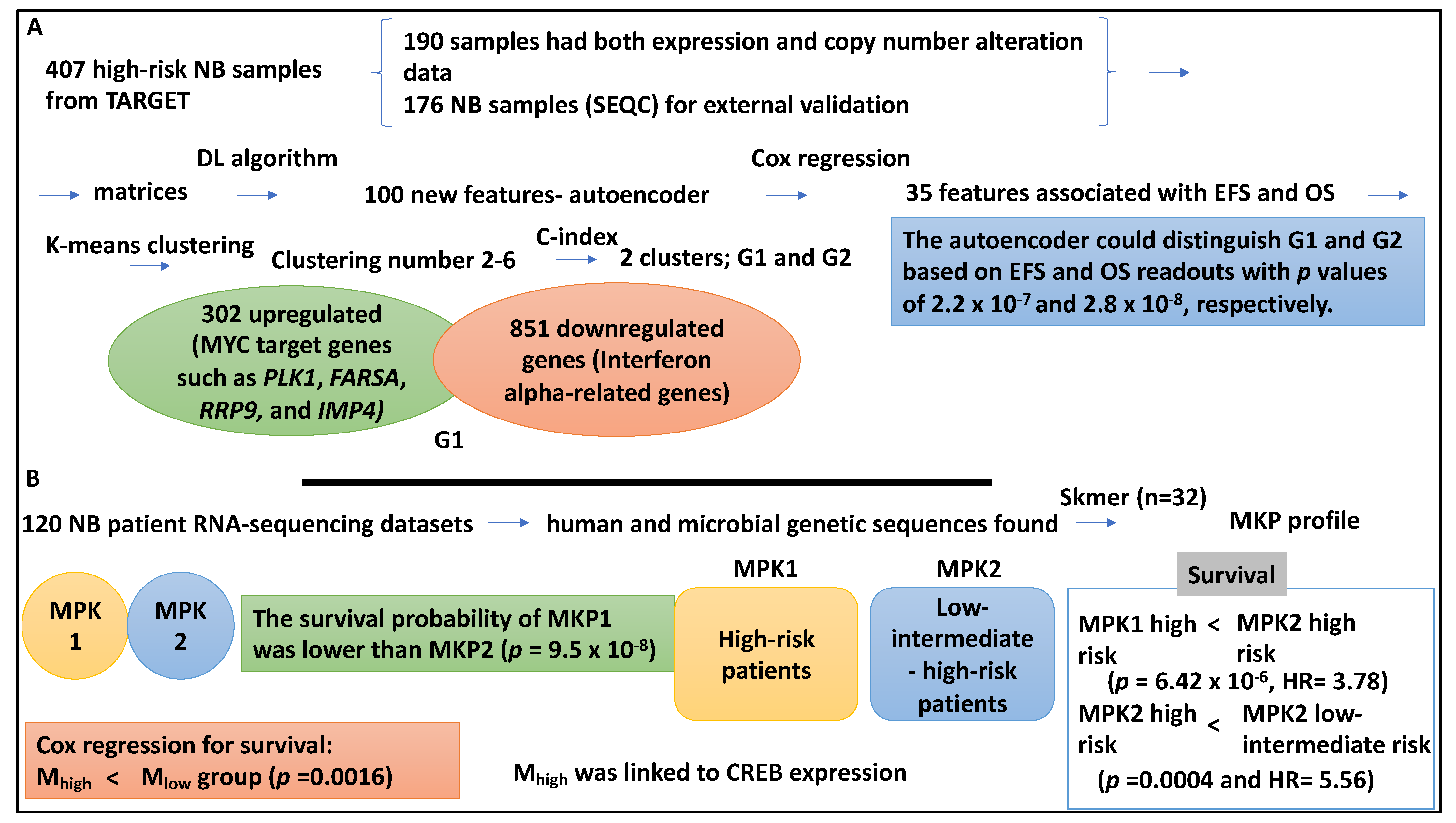 Medsci 12 00005 g006