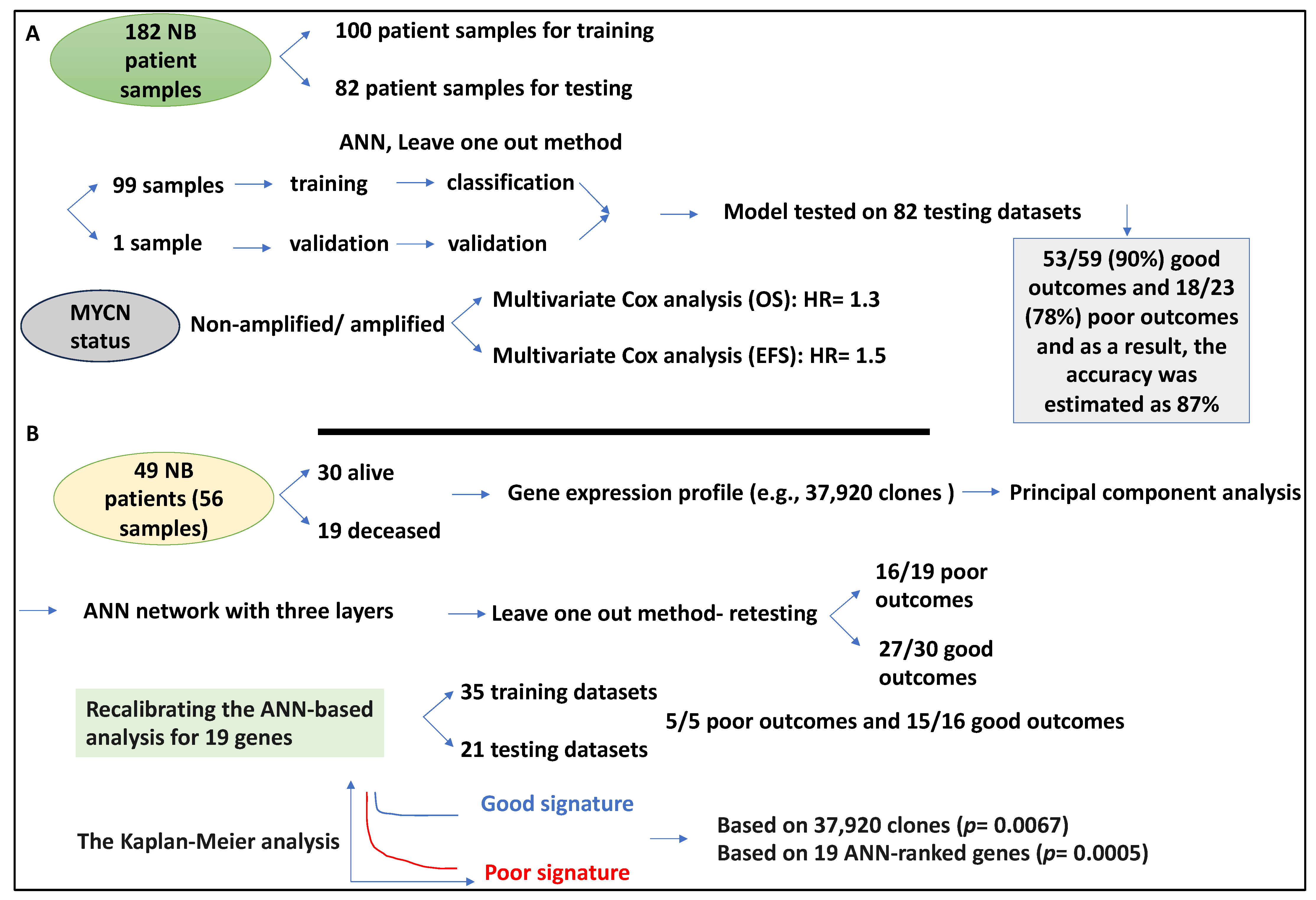 Medsci 12 00005 g007