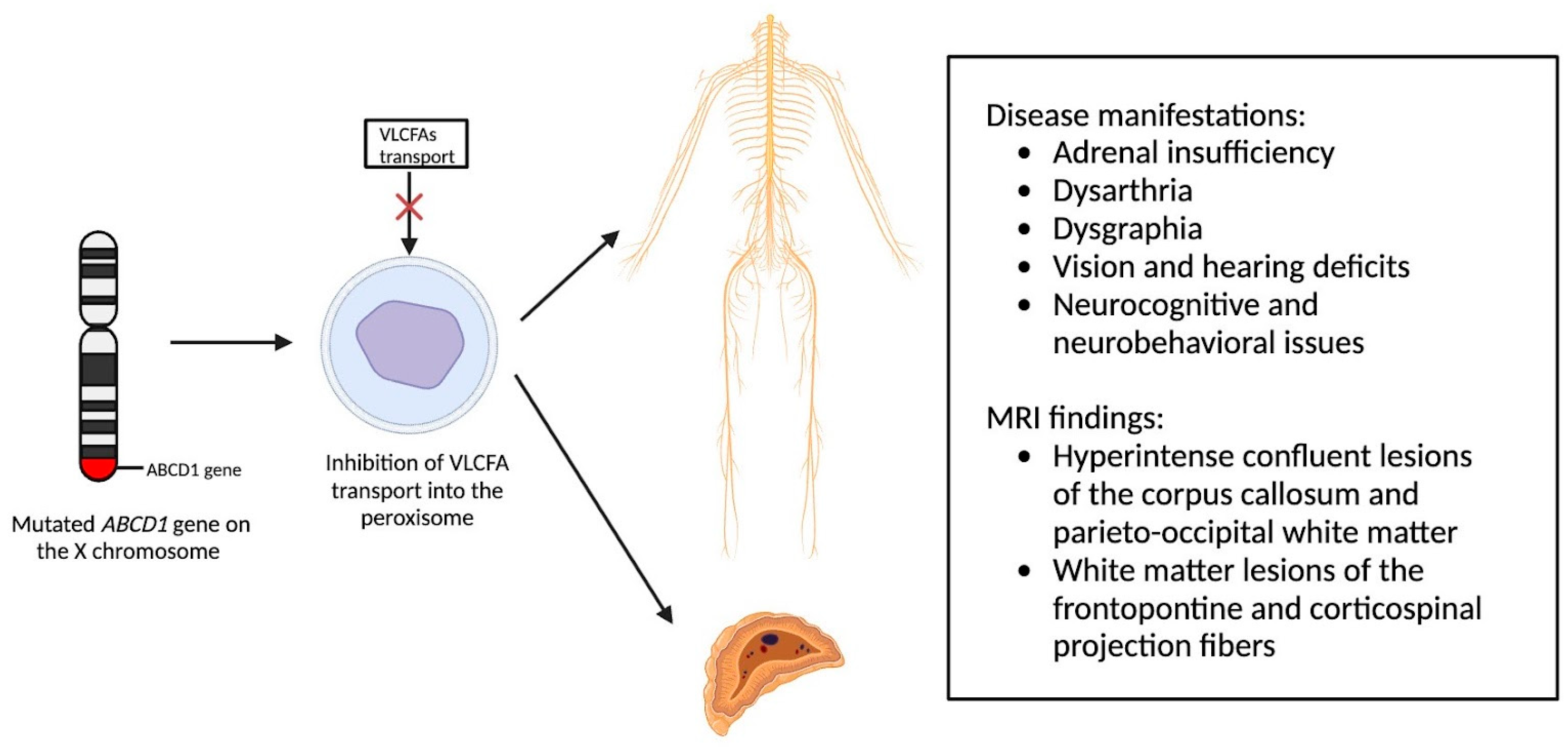 Medsci 12 00007 g002 Medsci 12 00007 g002