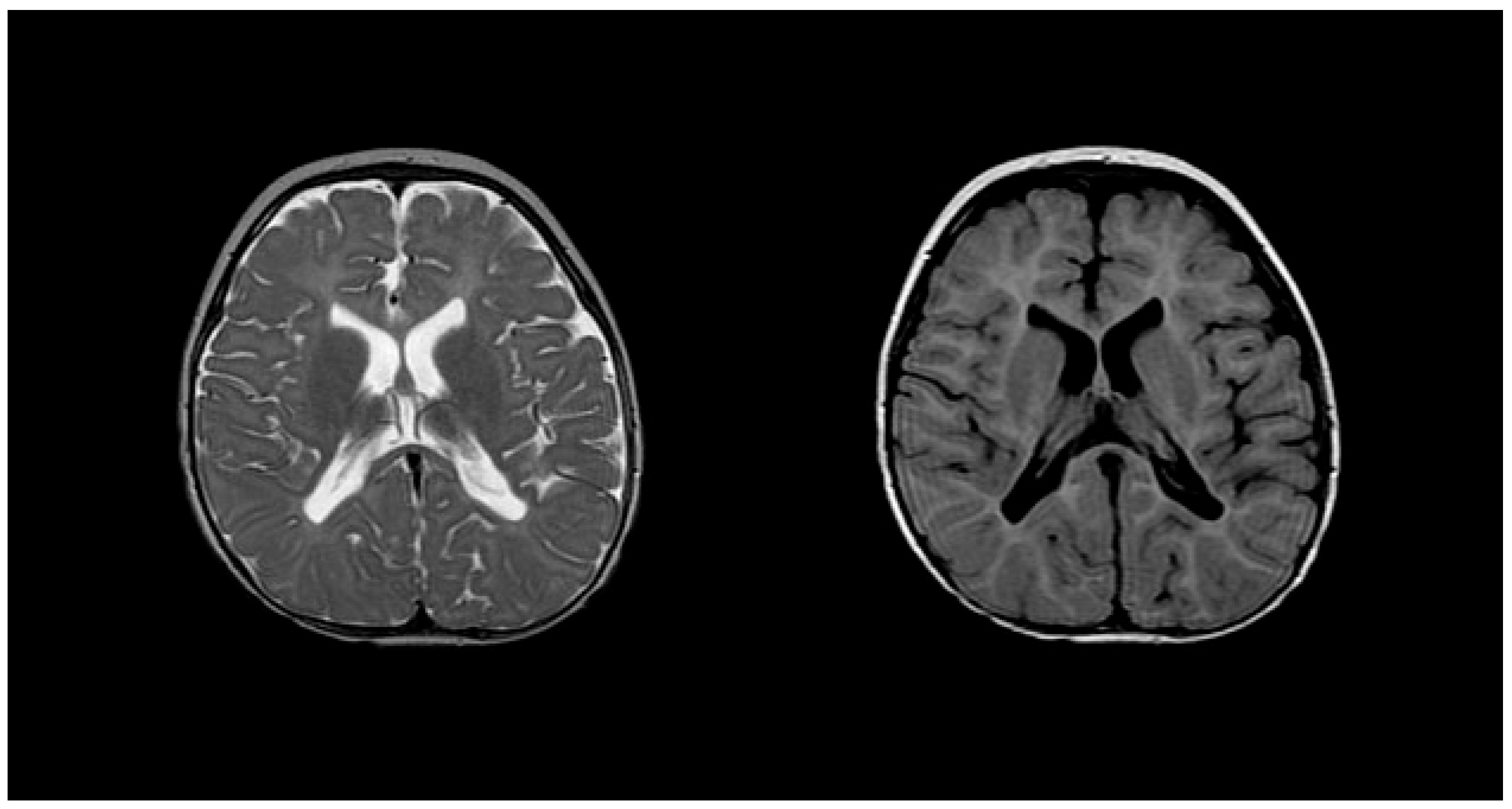 Medsci 12 00007 g005 Medsci 12 00007 g005