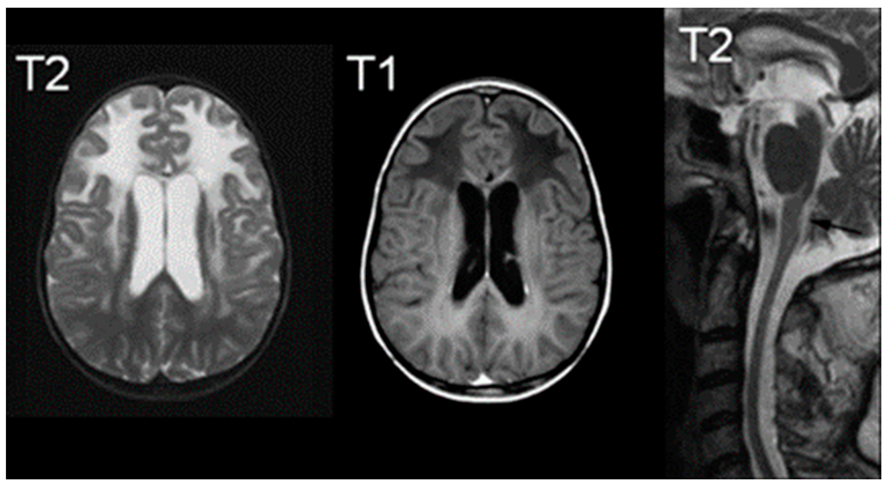Medsci 12 00007 g006 Medsci 12 00007 g006