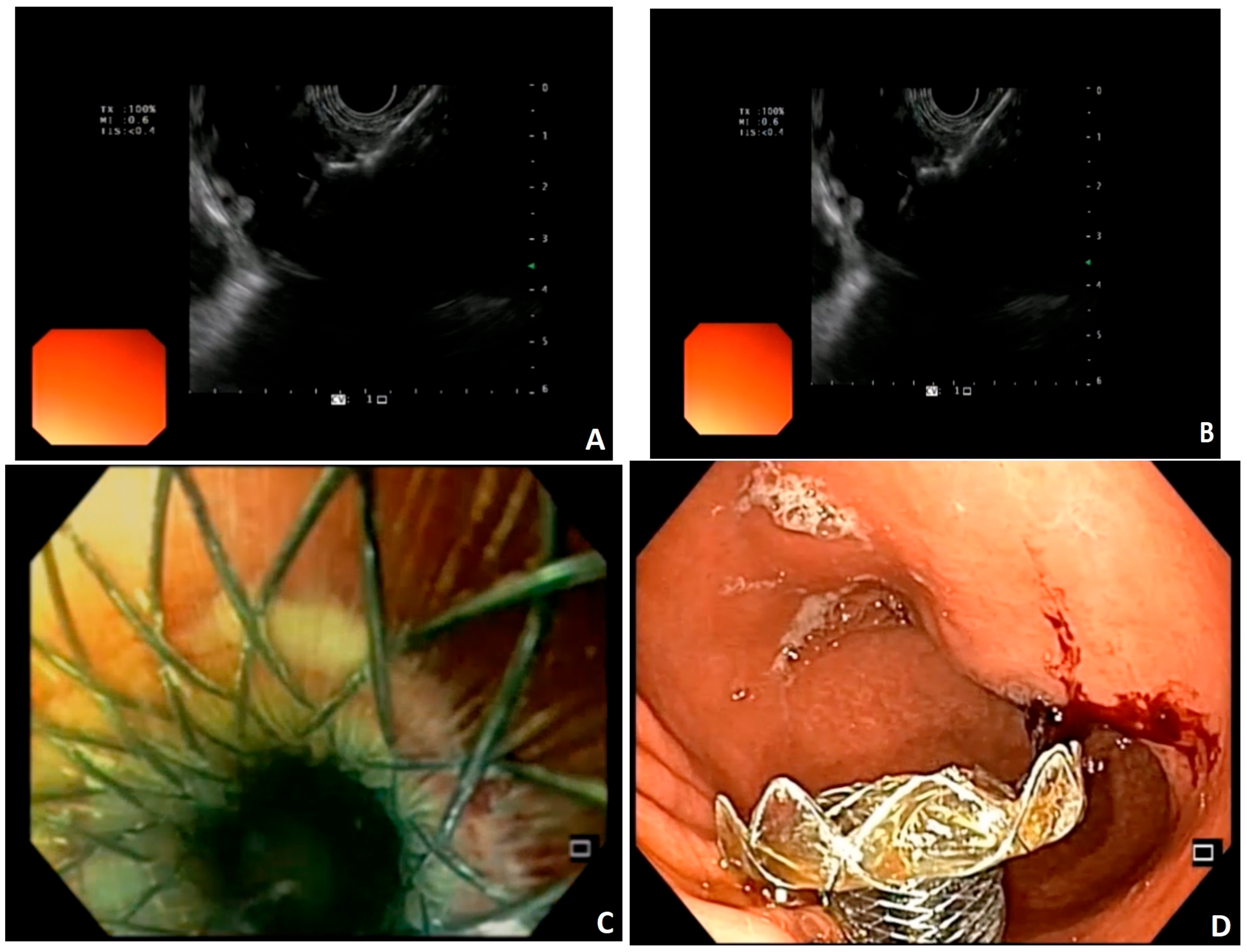 Medsci 12 00009 g001 Medsci 12 00009 g001