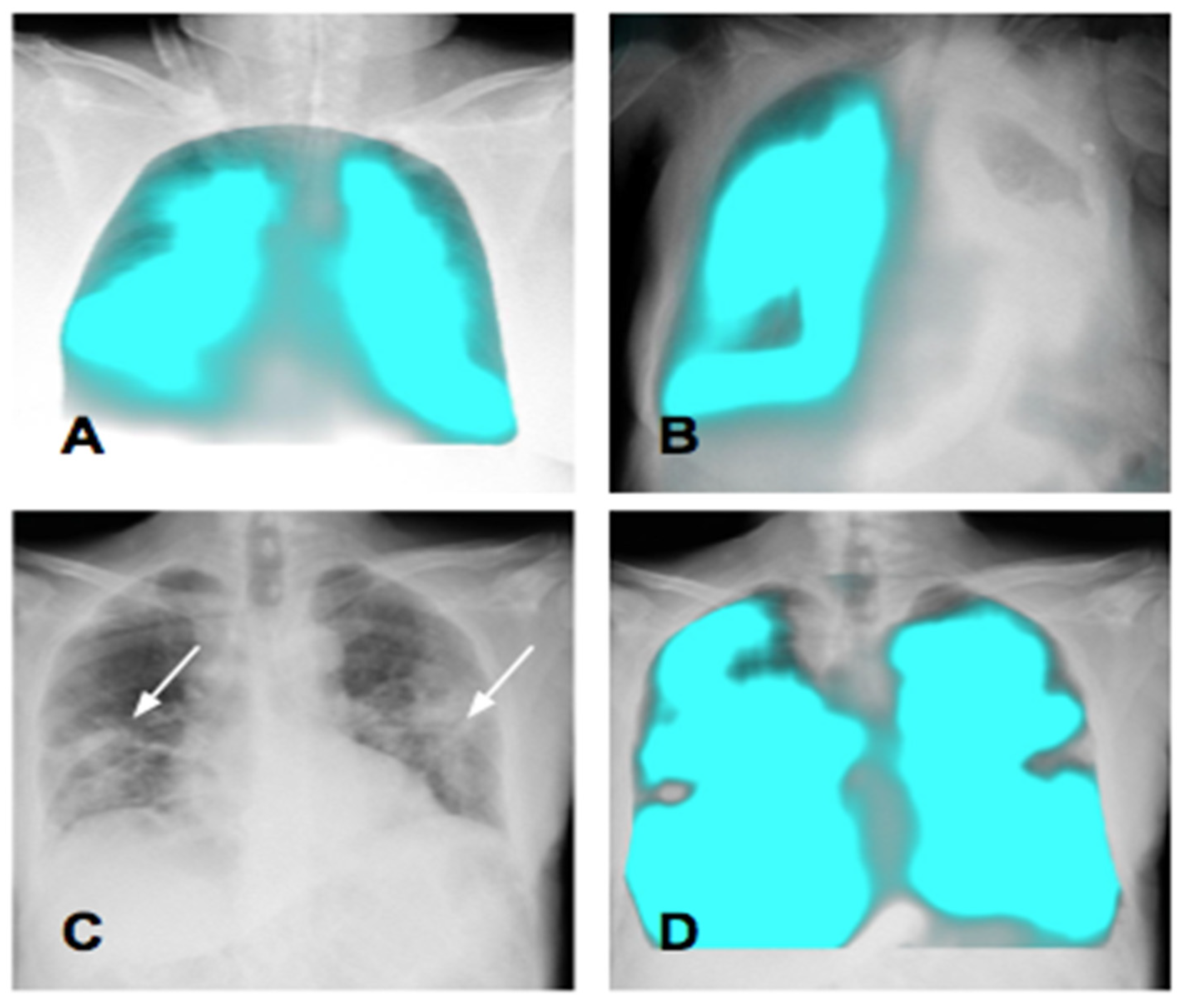 Medsci 12 00010 g011