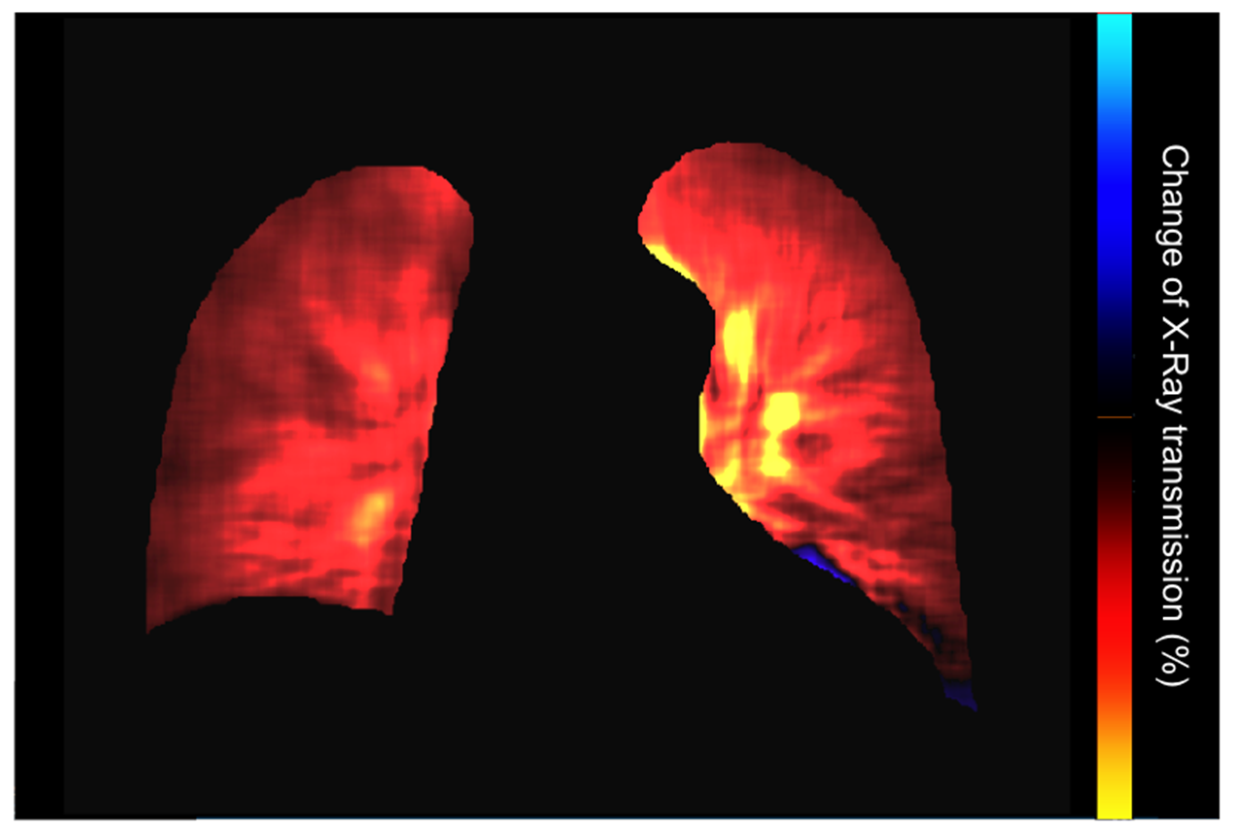 Medsci 12 00010 g012