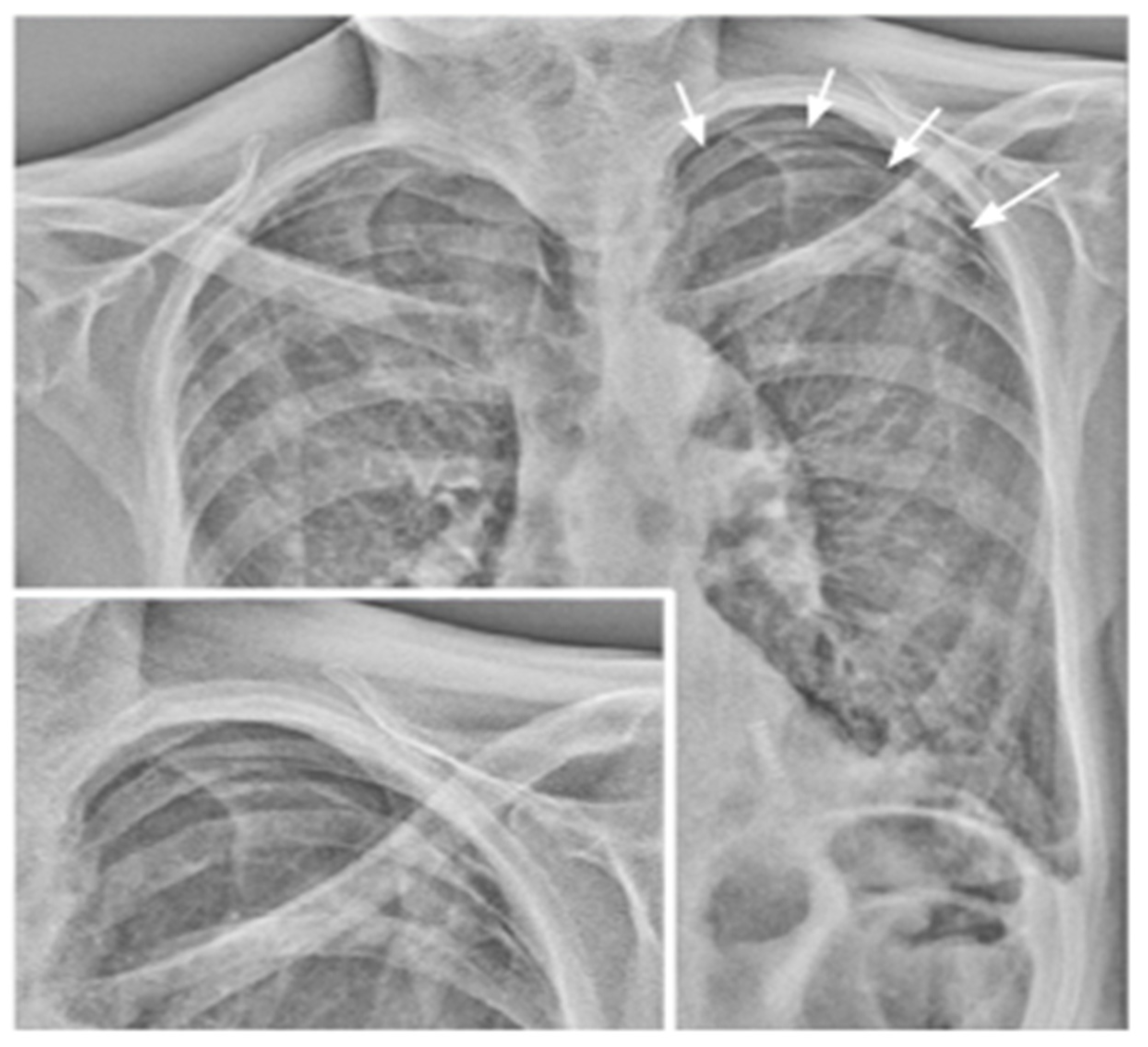 Medsci 12 00010 g013