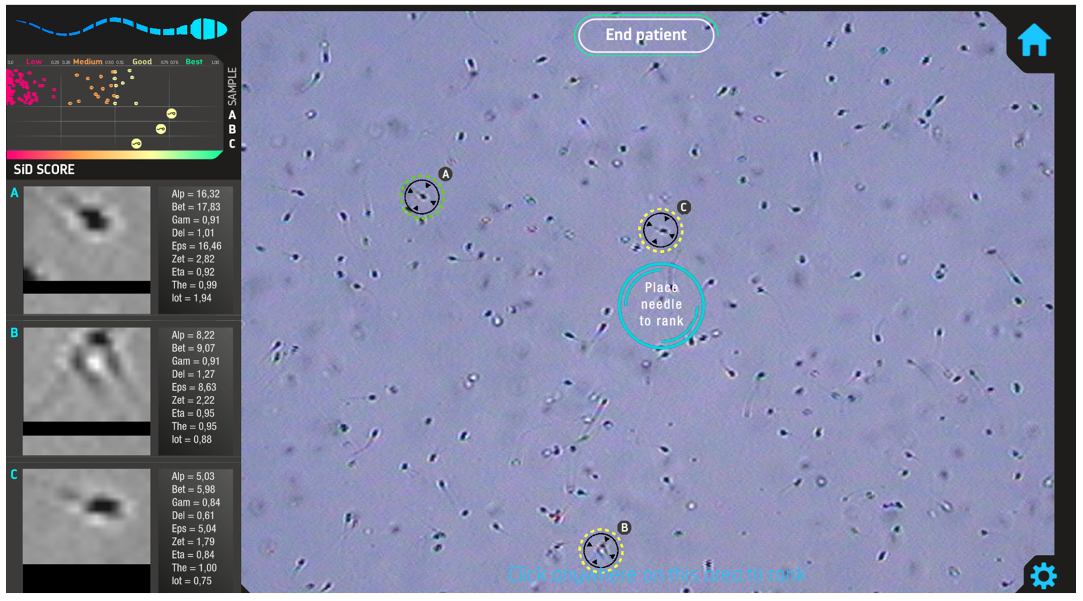 Medsci 12 00019 g001