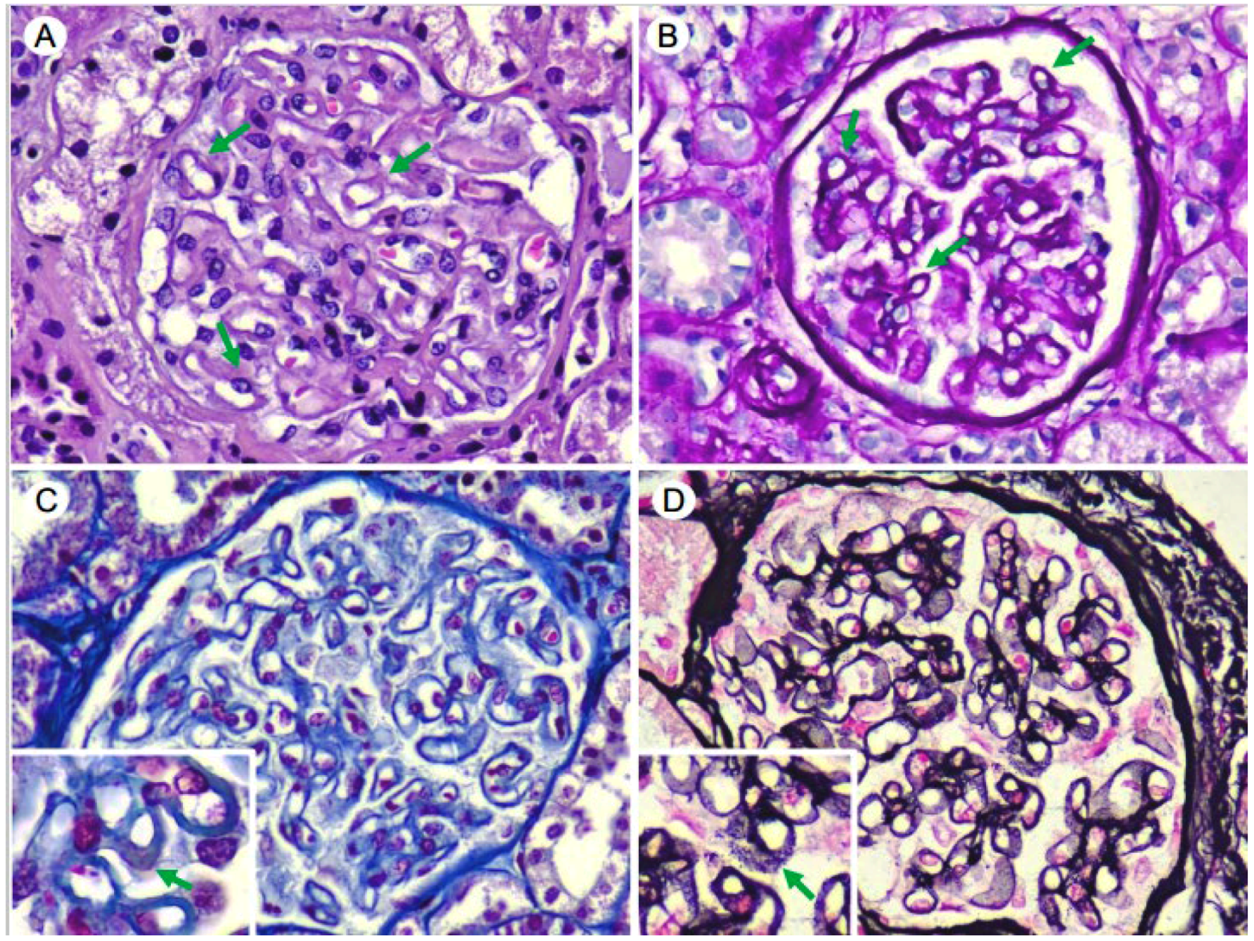 Medsci 12 00025 g001