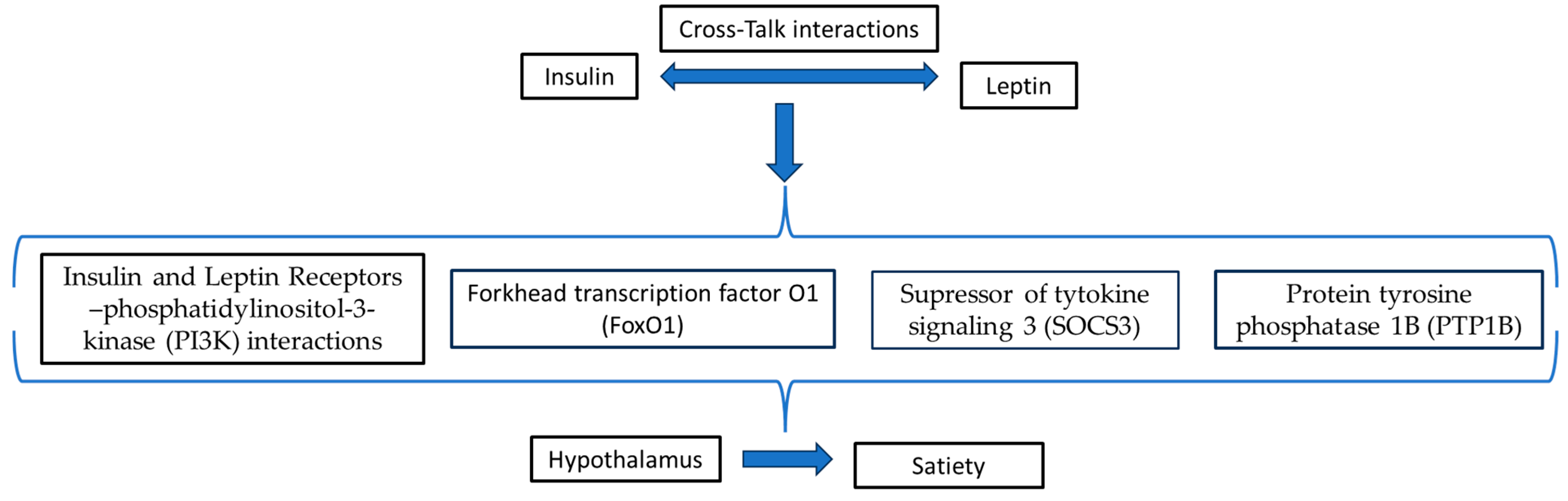 Medical Sciences Free FullText Could Insulin Be a Better Regulator