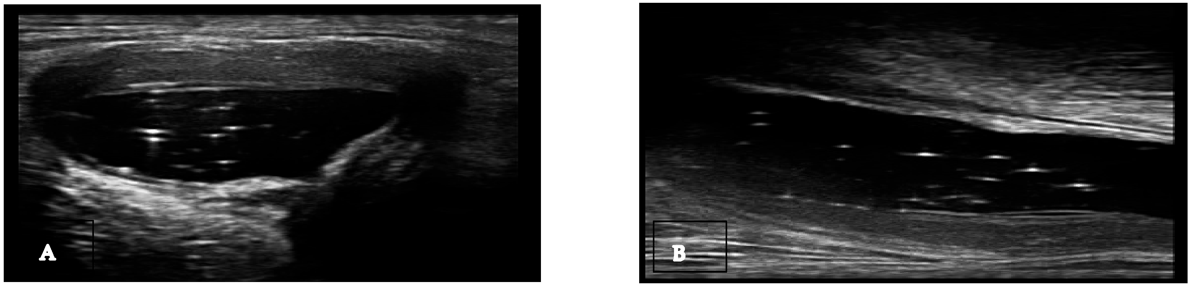 Medsci 12 00037 g001