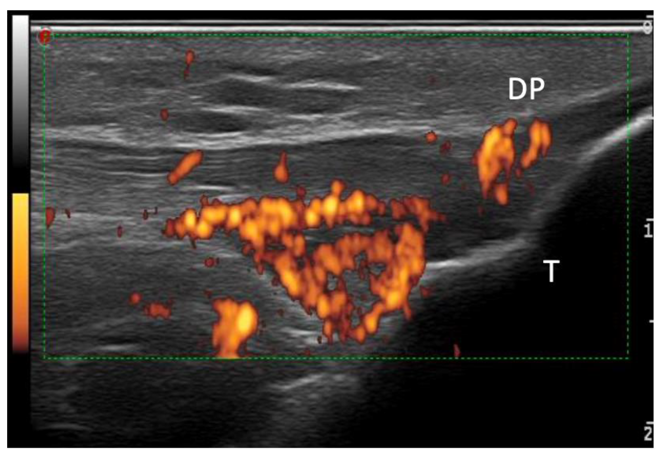 Medsci 12 00040 g002