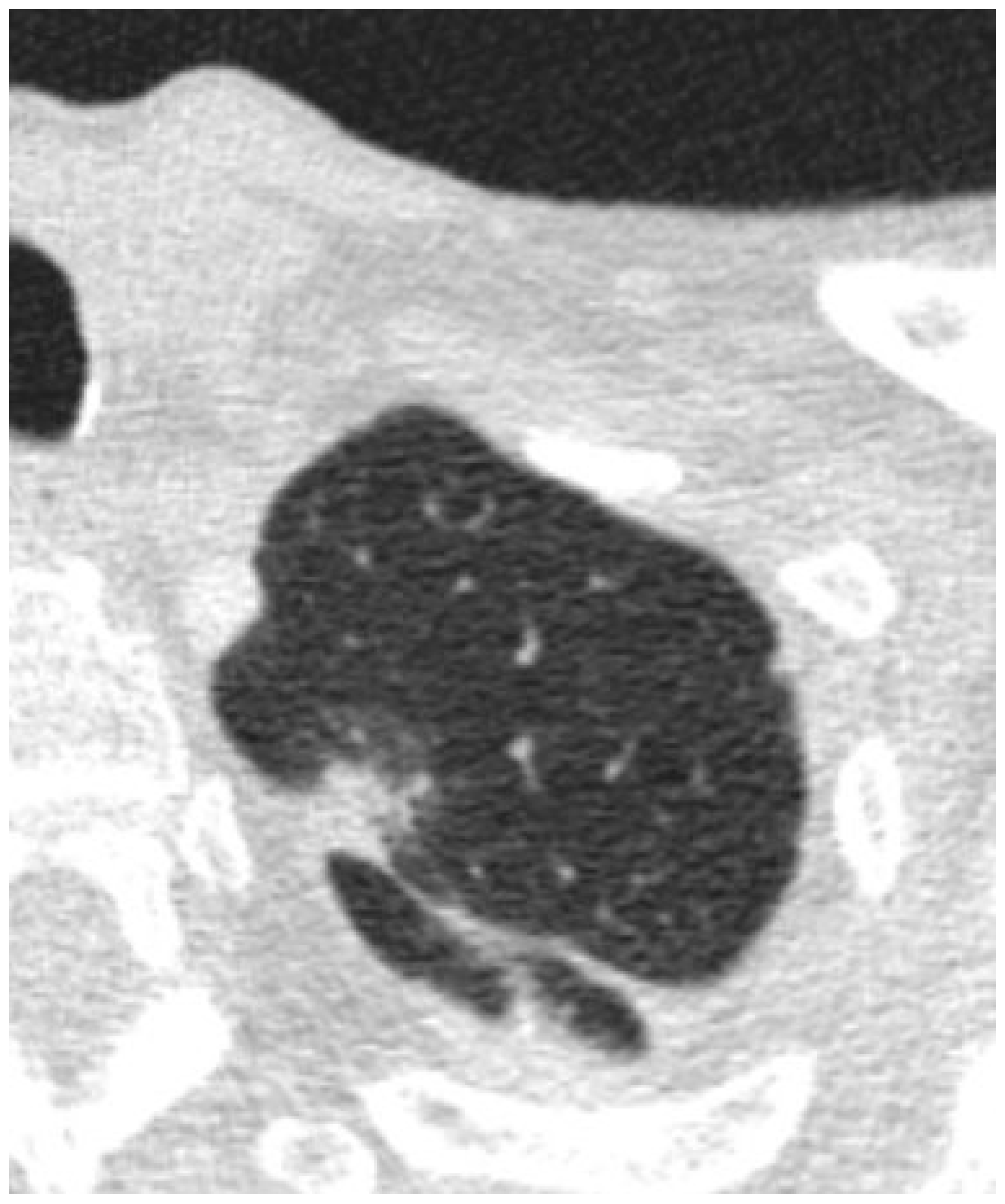 Medsci 12 00057 g002