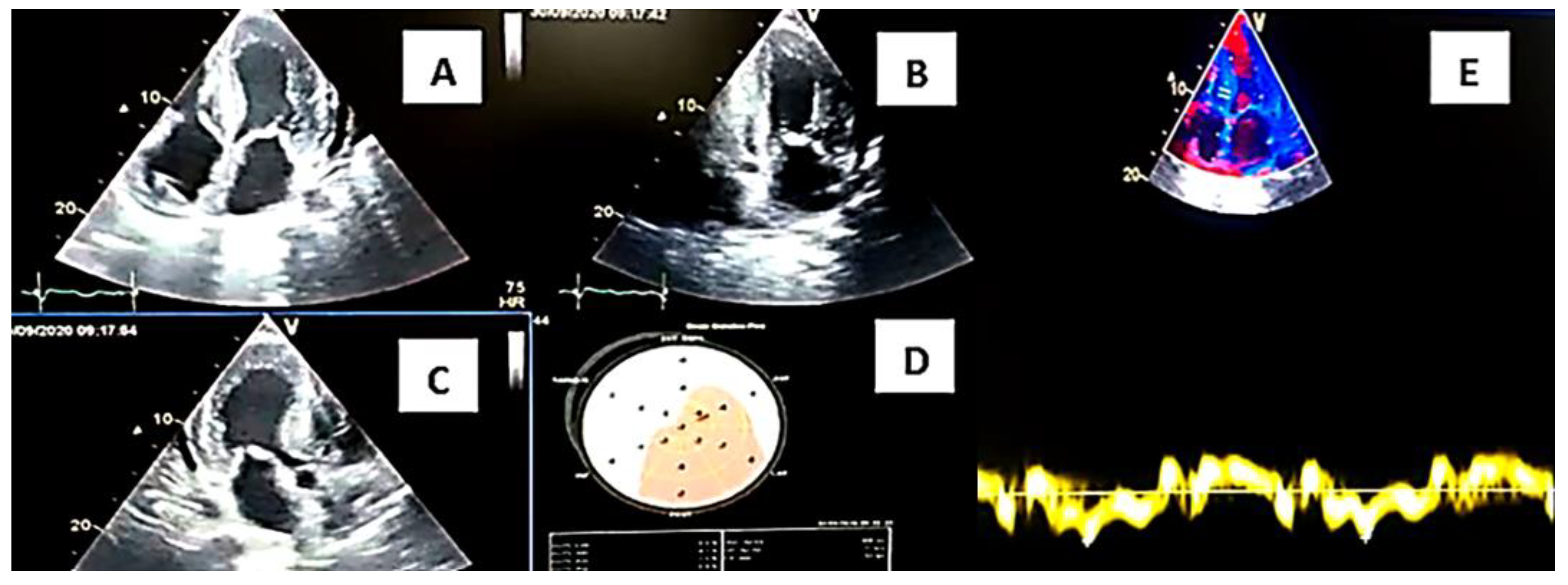 Medsci 12 00058 g001