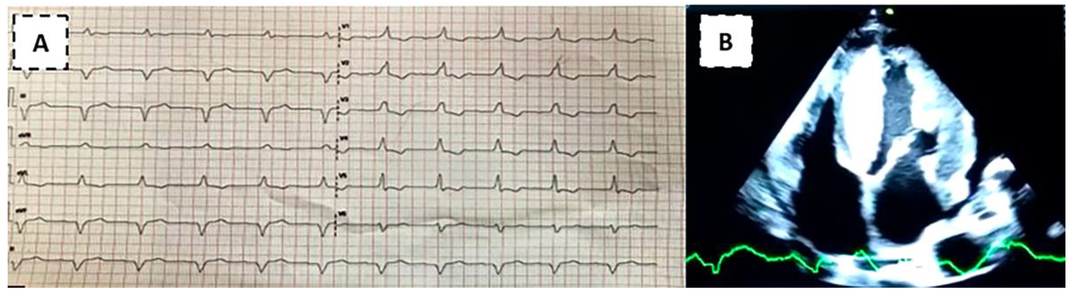 Medsci 12 00058 g003