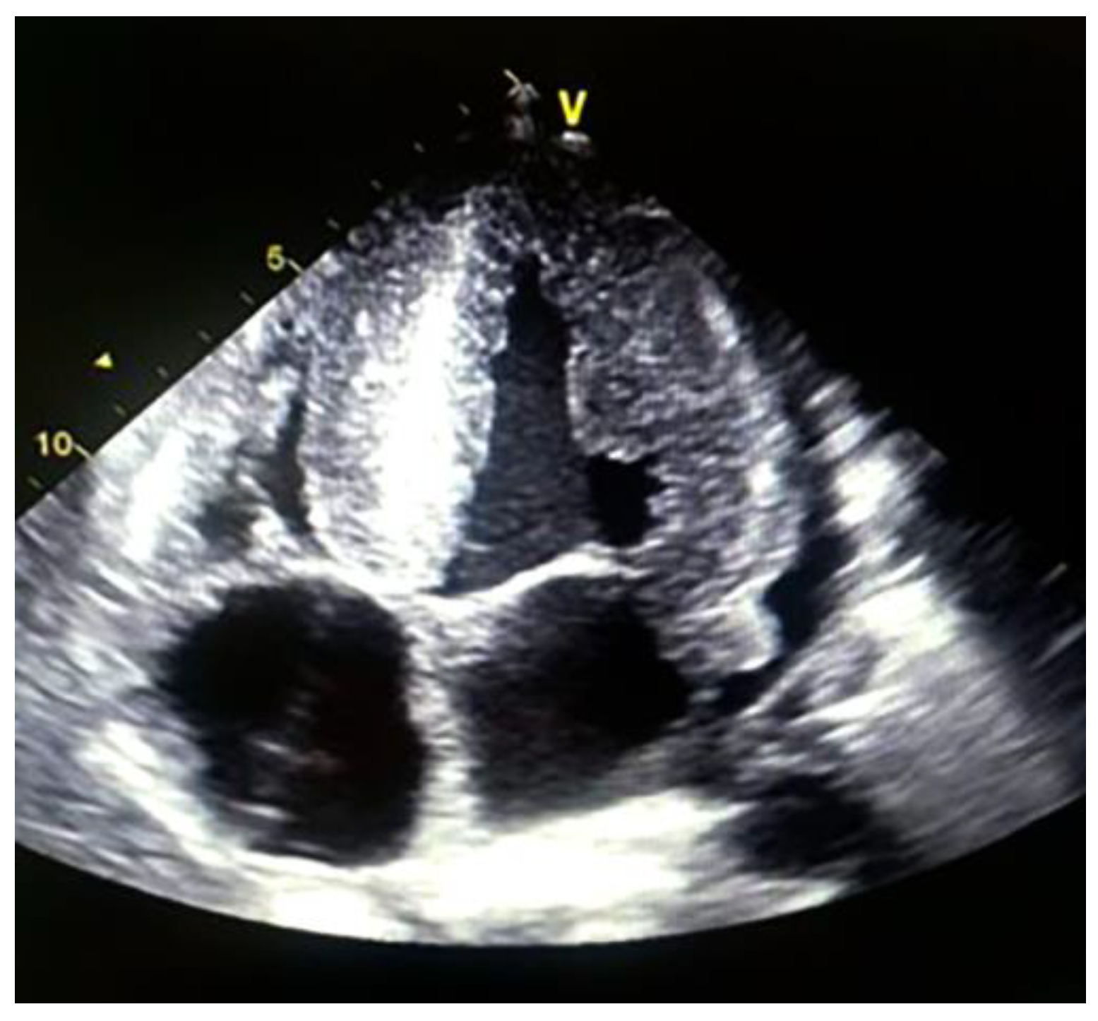 Medsci 12 00058 g005