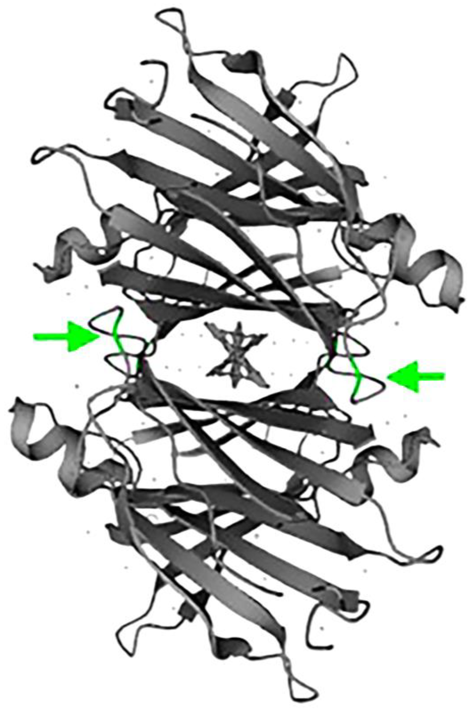 Medsci 12 00058 g007