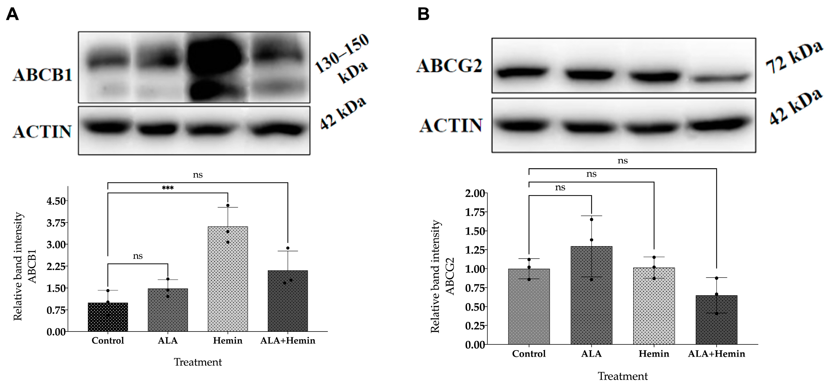 Medsci 12 00066 g005