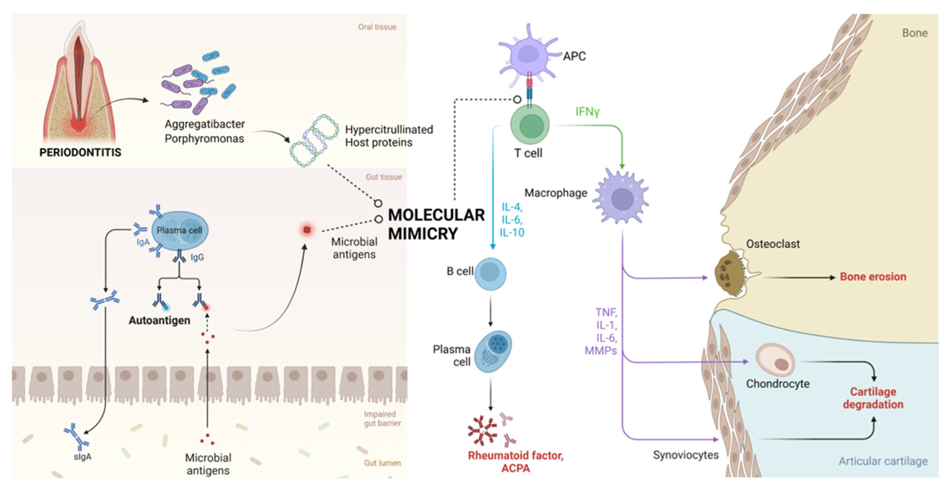 Medsci 12 00072 g001