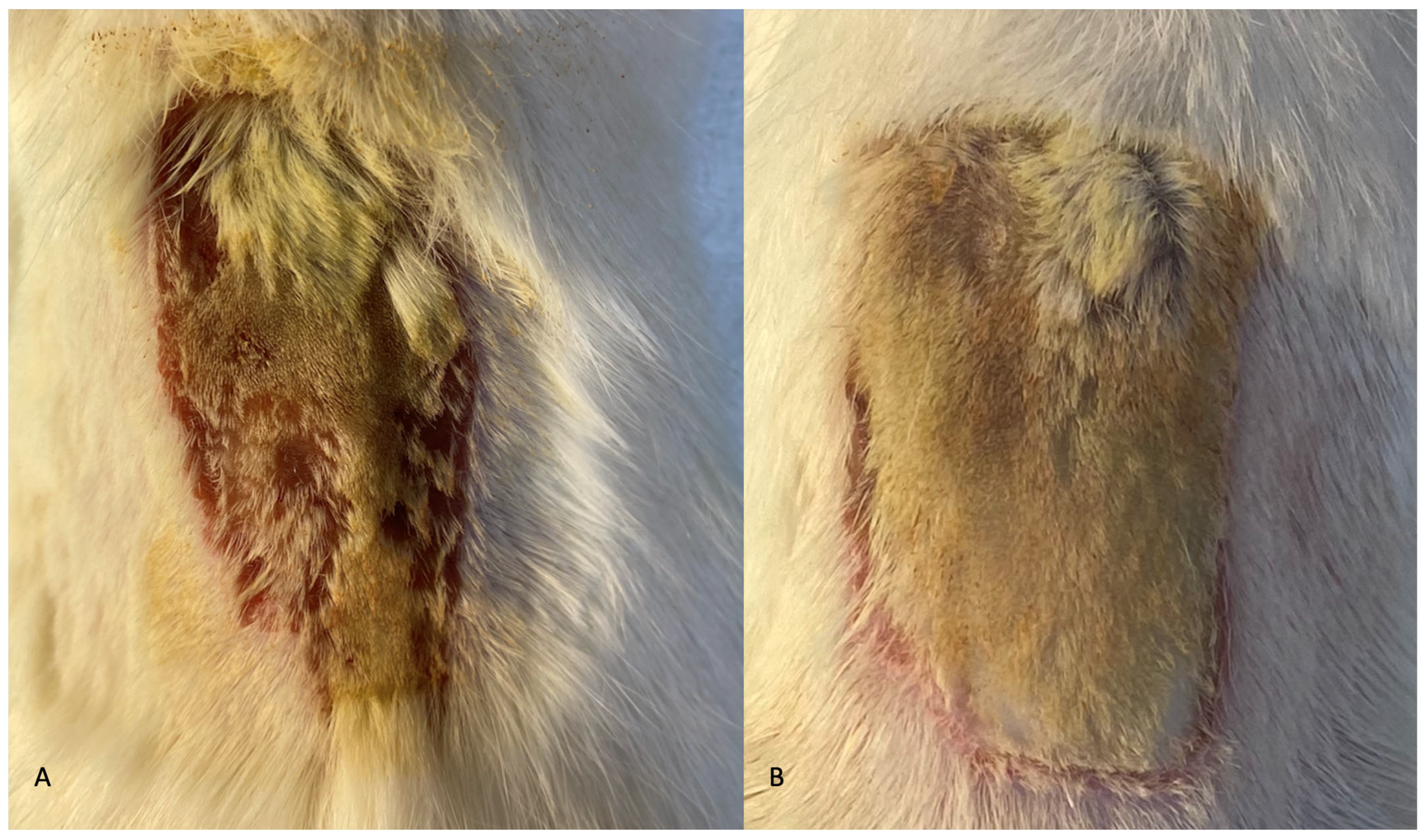 Medsci 12 00075 g002