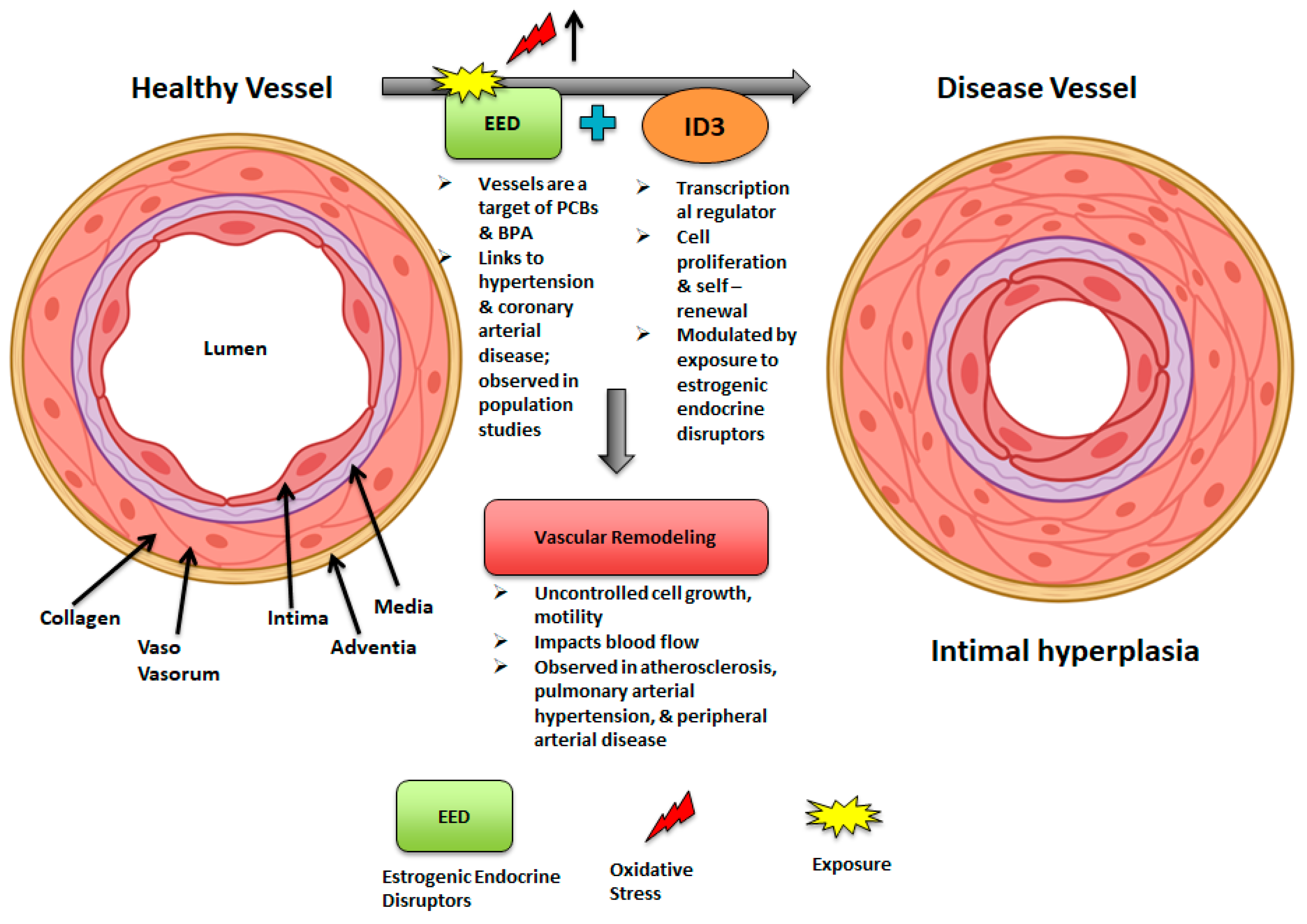 Medsci 13 00002 g002