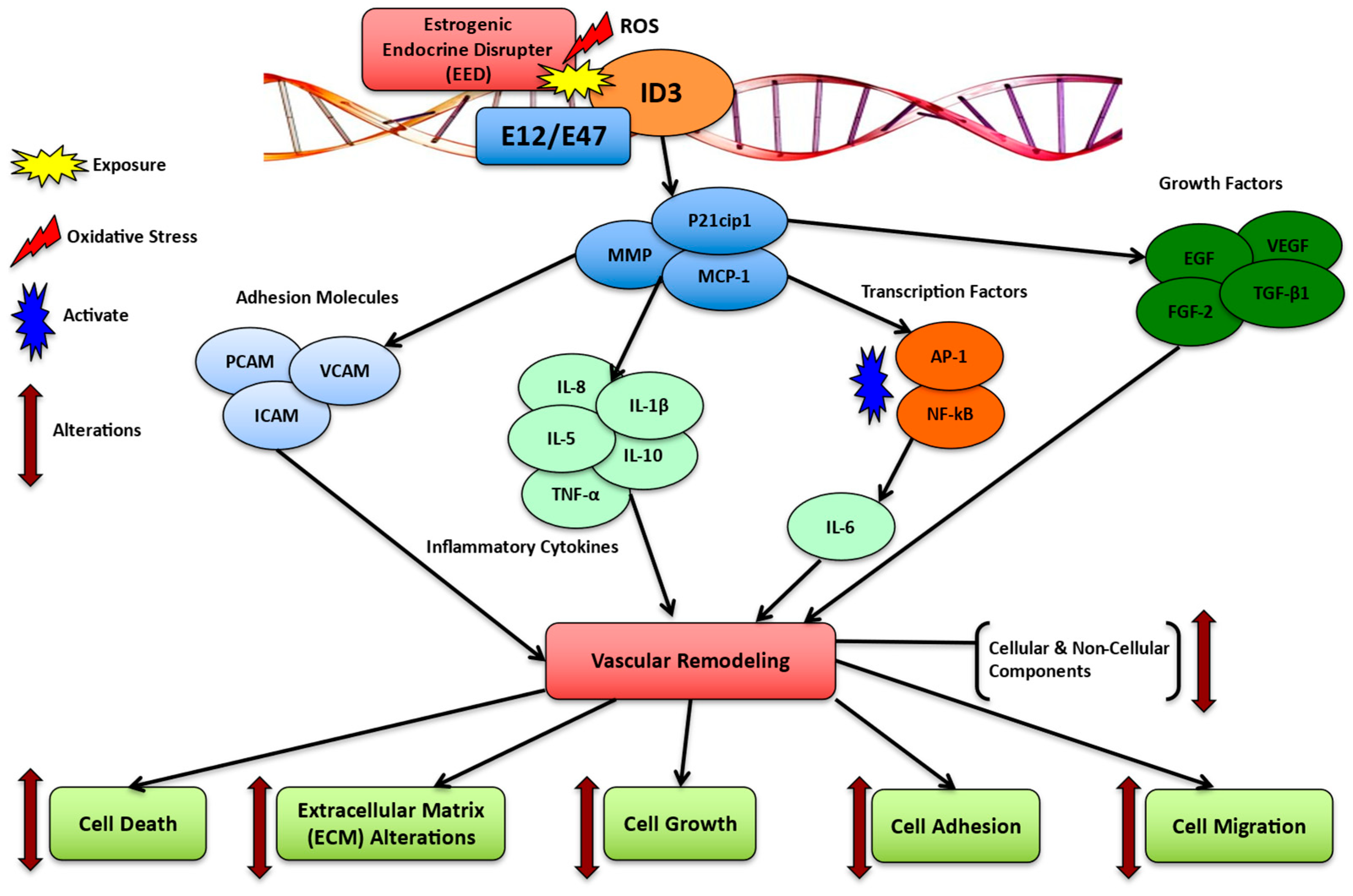 Medsci 13 00002 g003