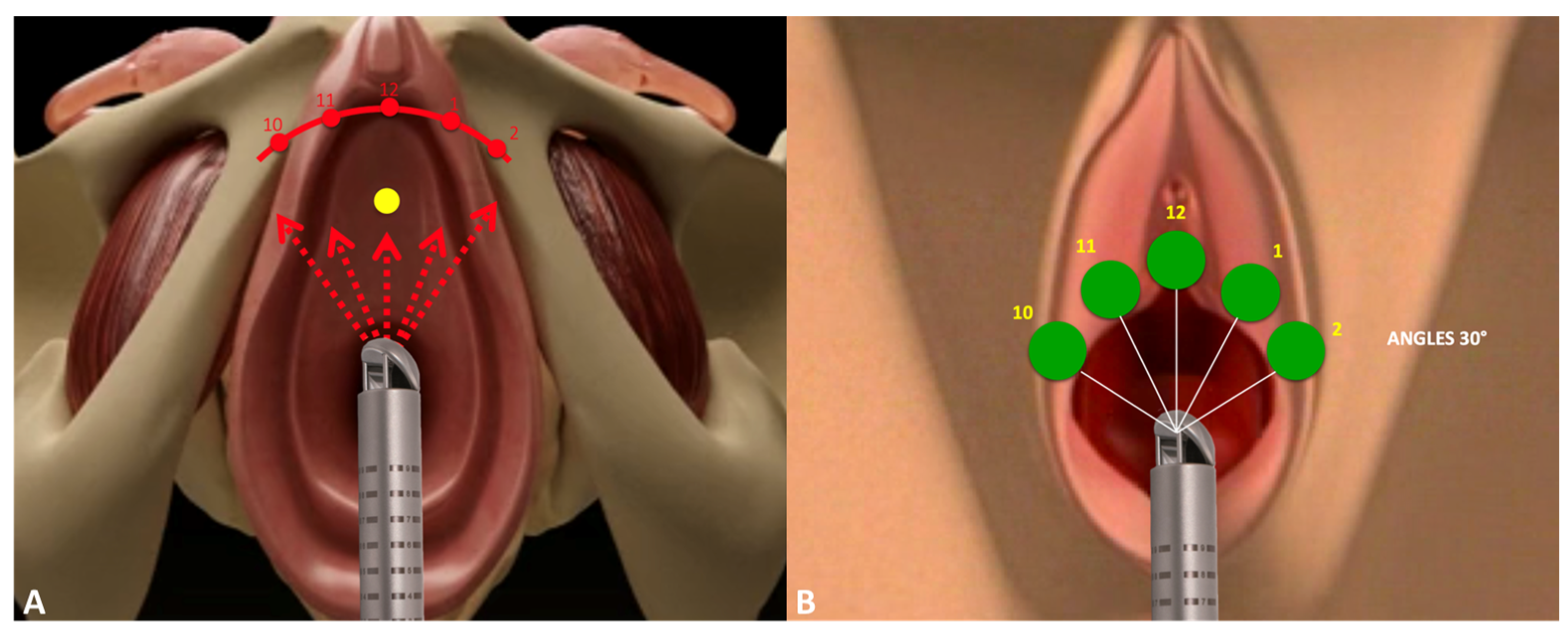 Medsci 13 00025 g001