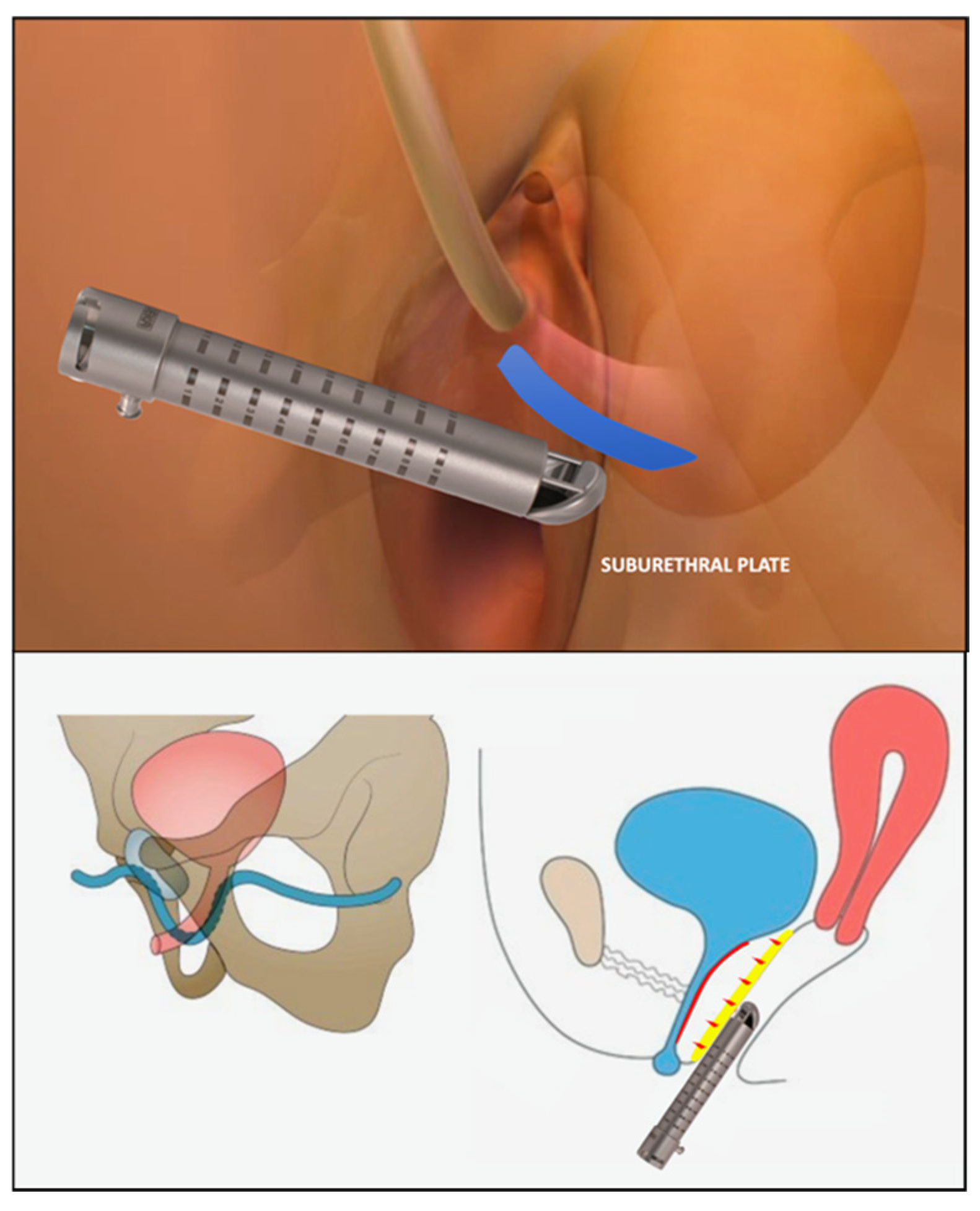 Medsci 13 00025 g003