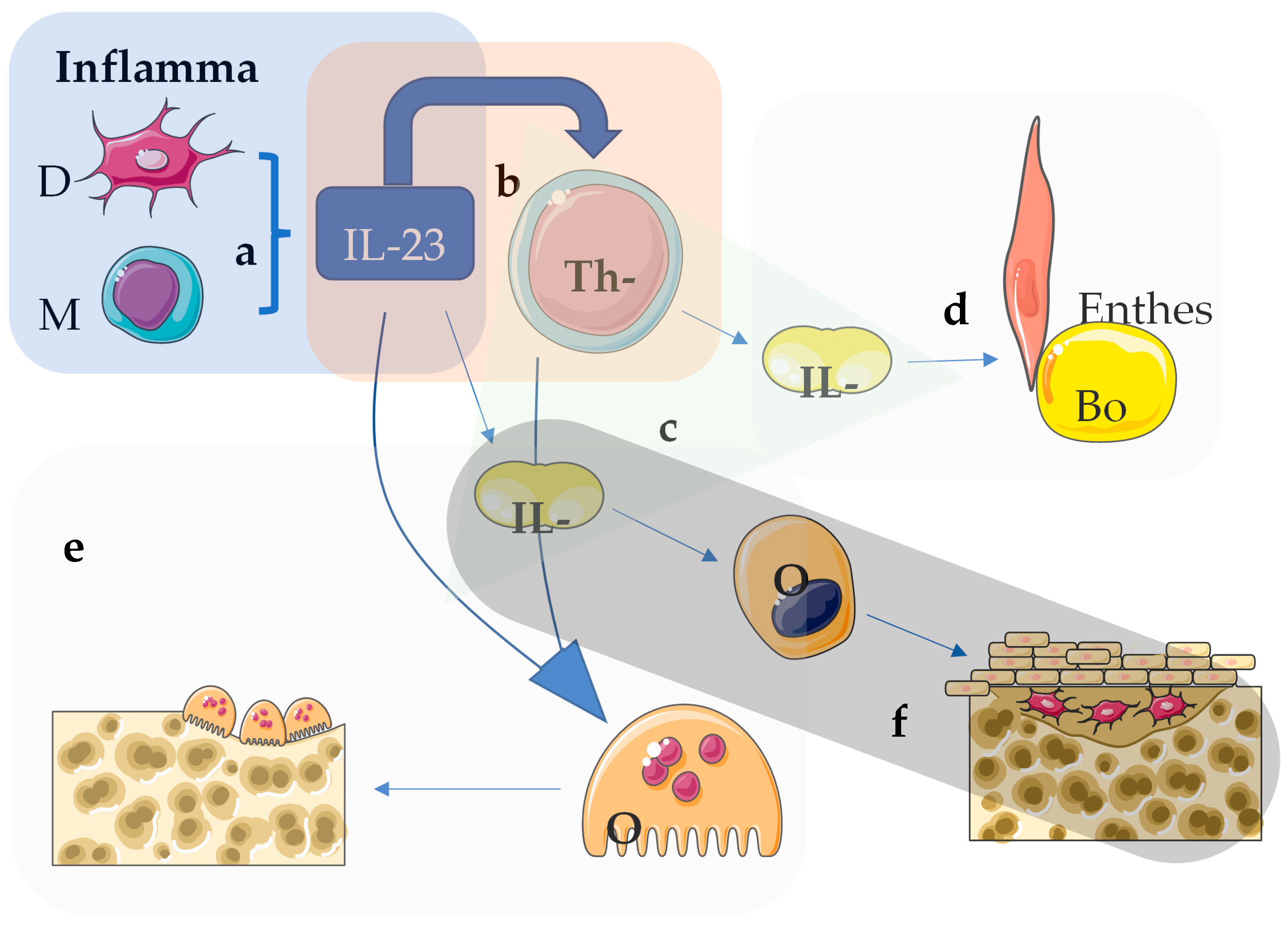 Medsci 13 00032 g001