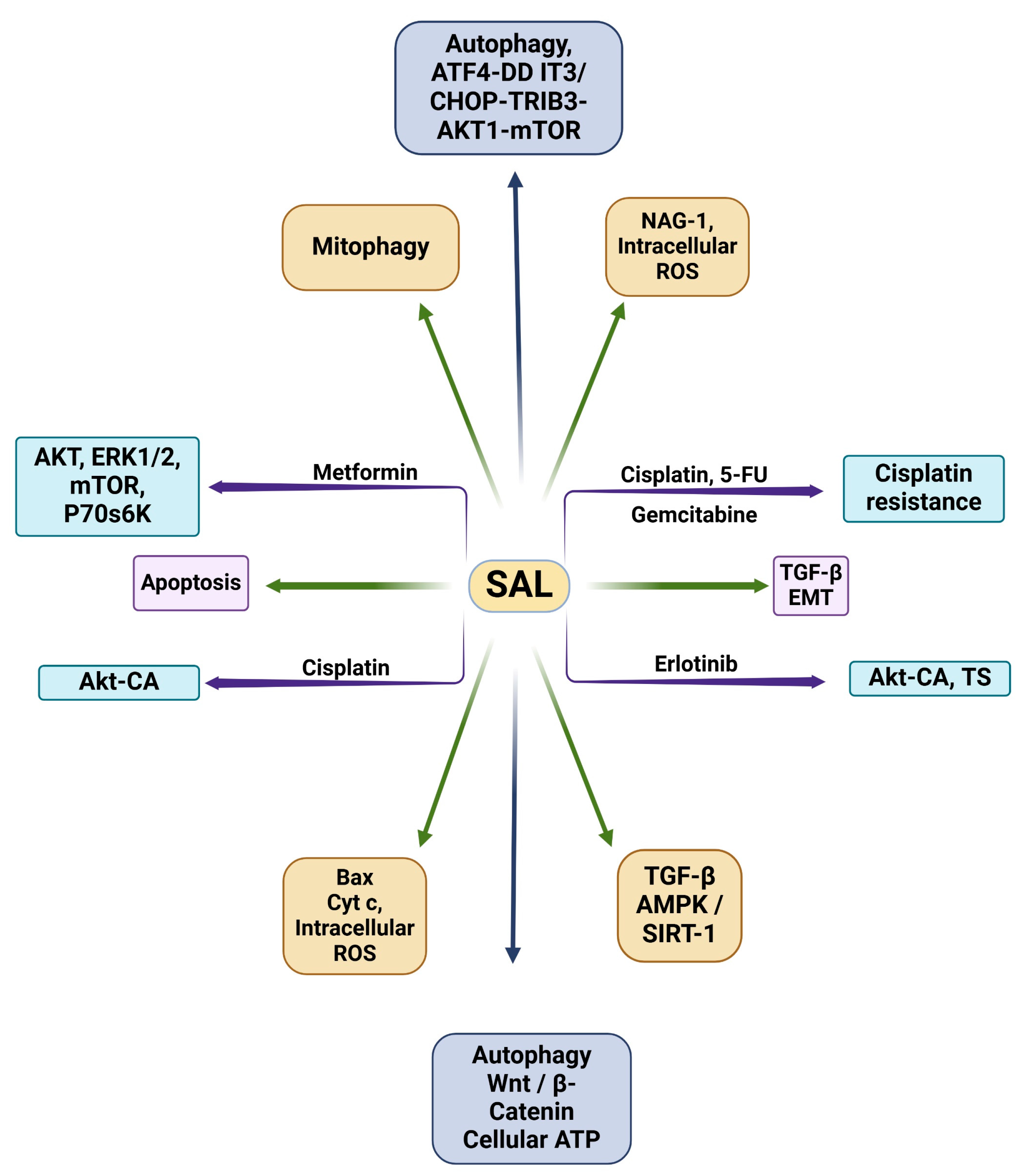 Medsci 13 00047 g002 Medsci 13 00047 g002