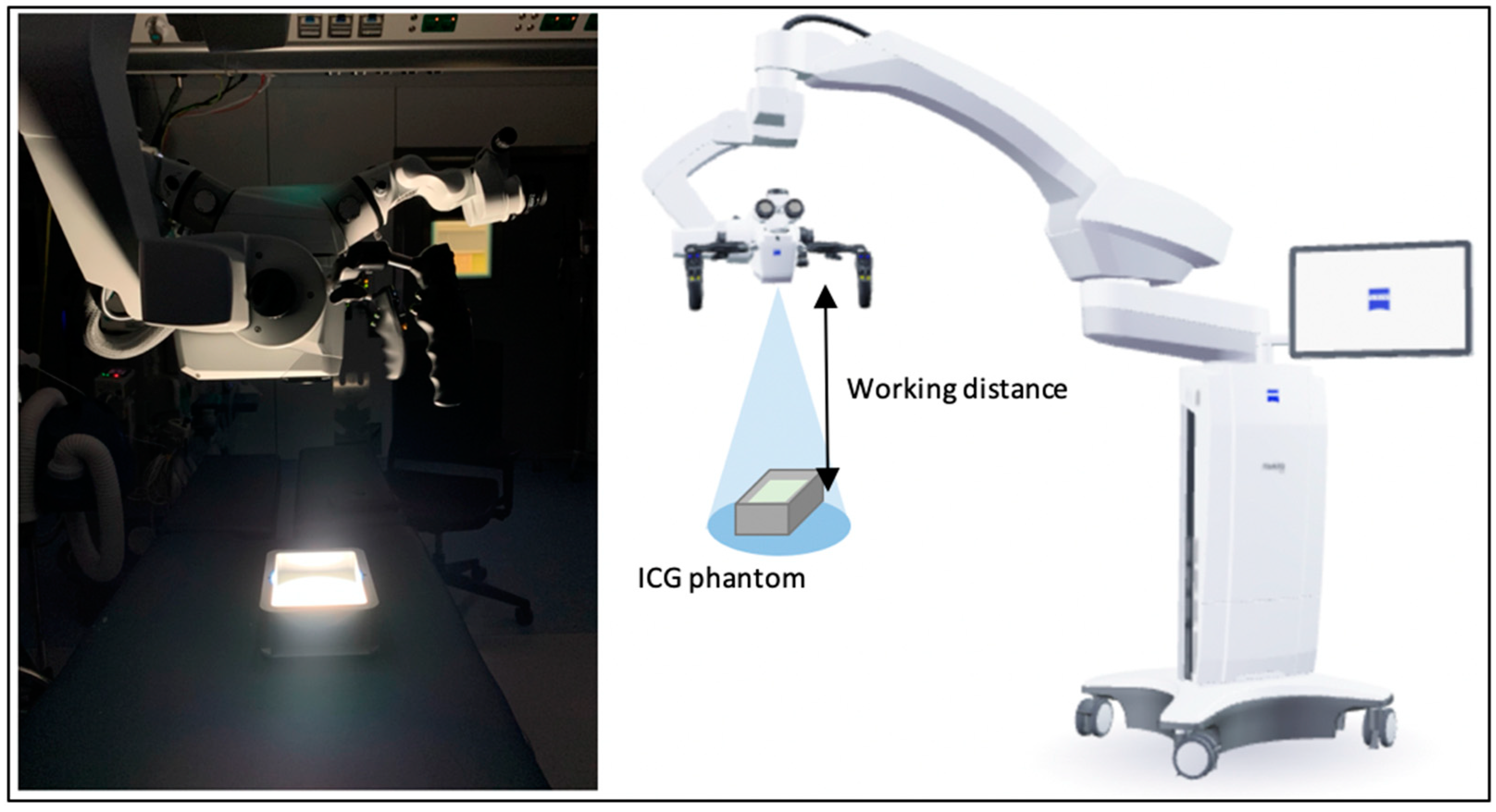 Medsci 13 00054 g002