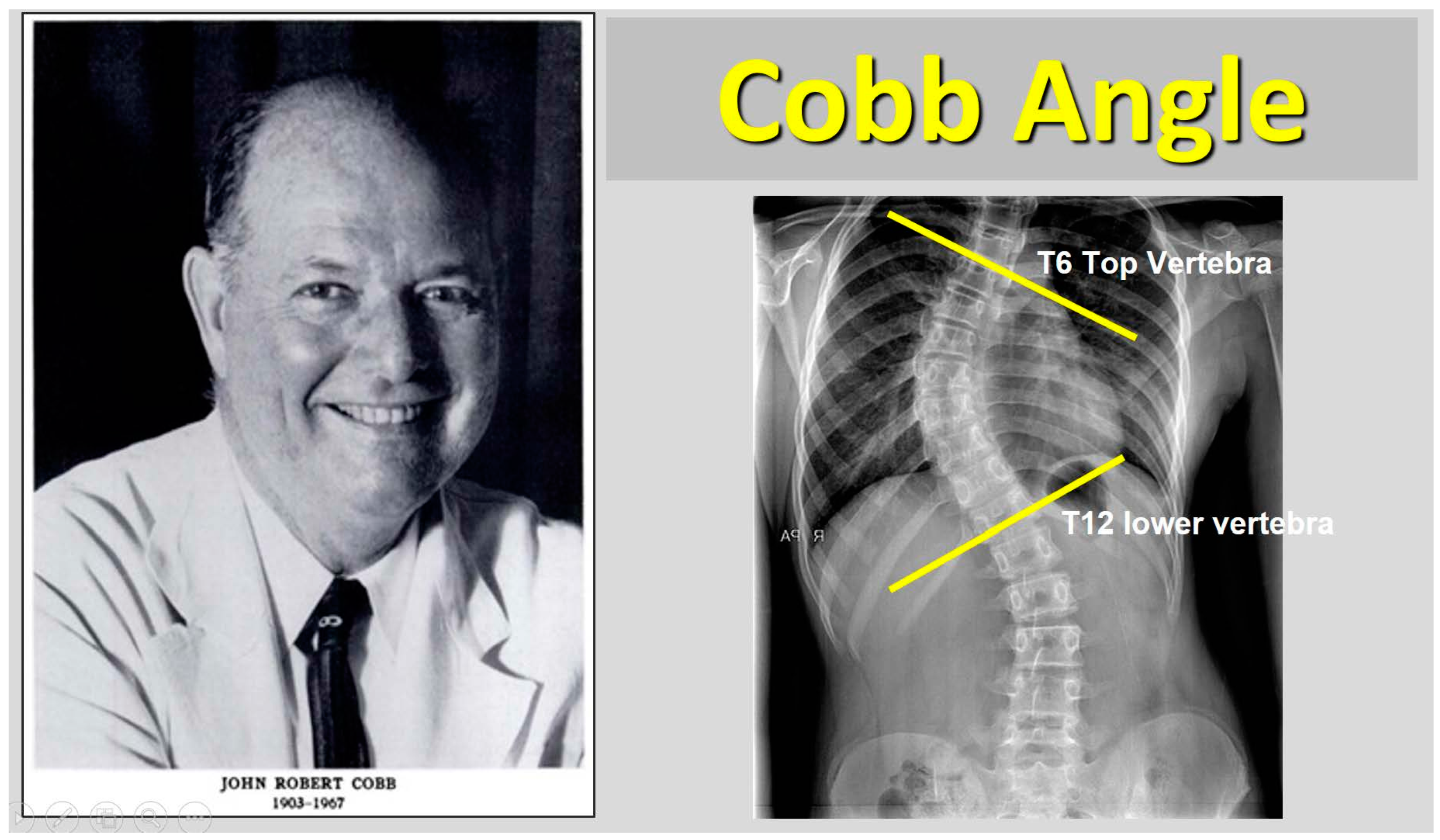 Medsci 13 00062 g001 Medsci 13 00062 g001