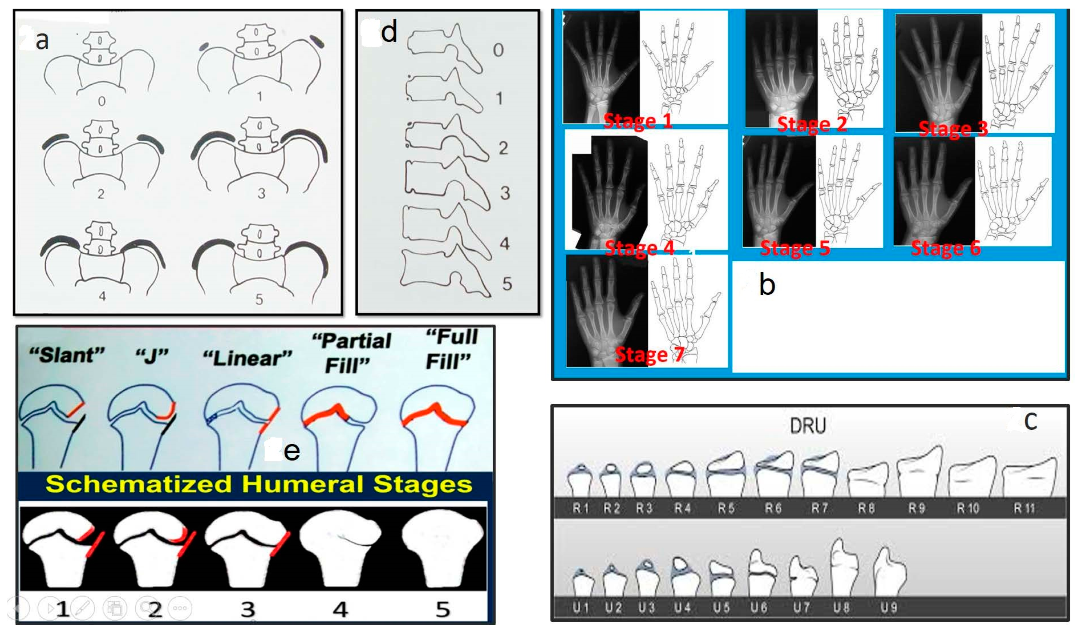 Medsci 13 00062 g002 Medsci 13 00062 g002