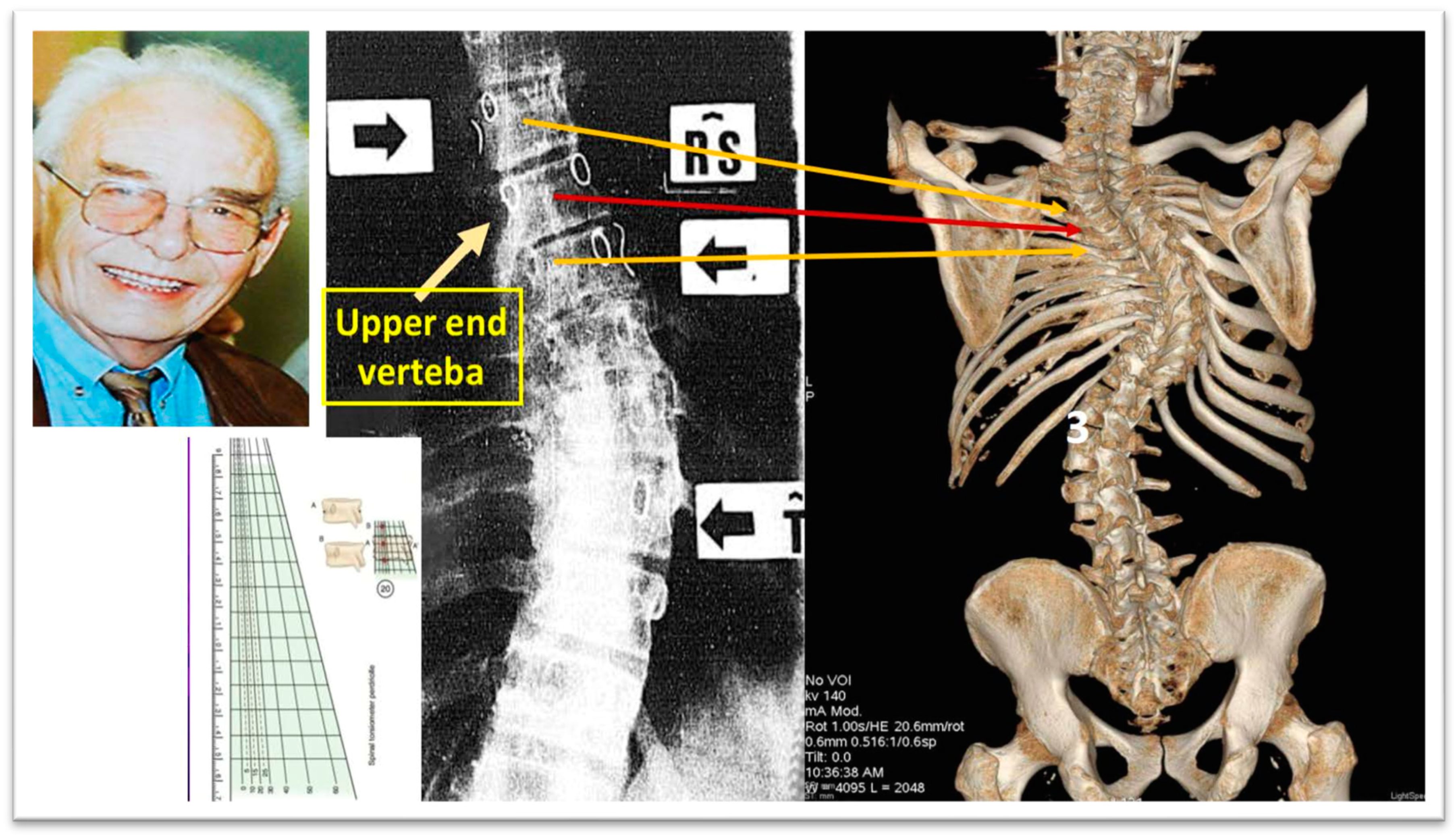Medsci 13 00062 g008 Medsci 13 00062 g008
