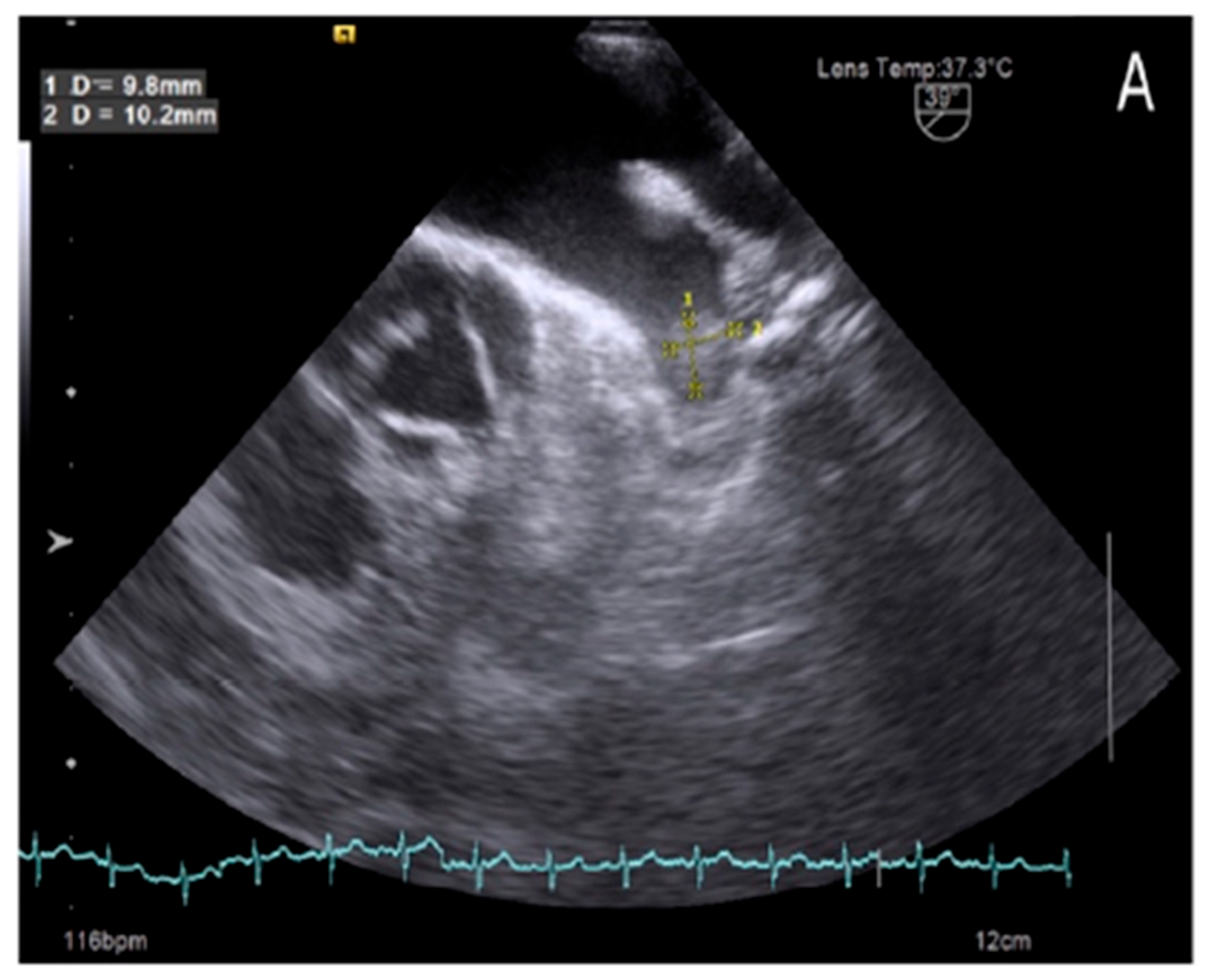 Medsci 13 00063 g001