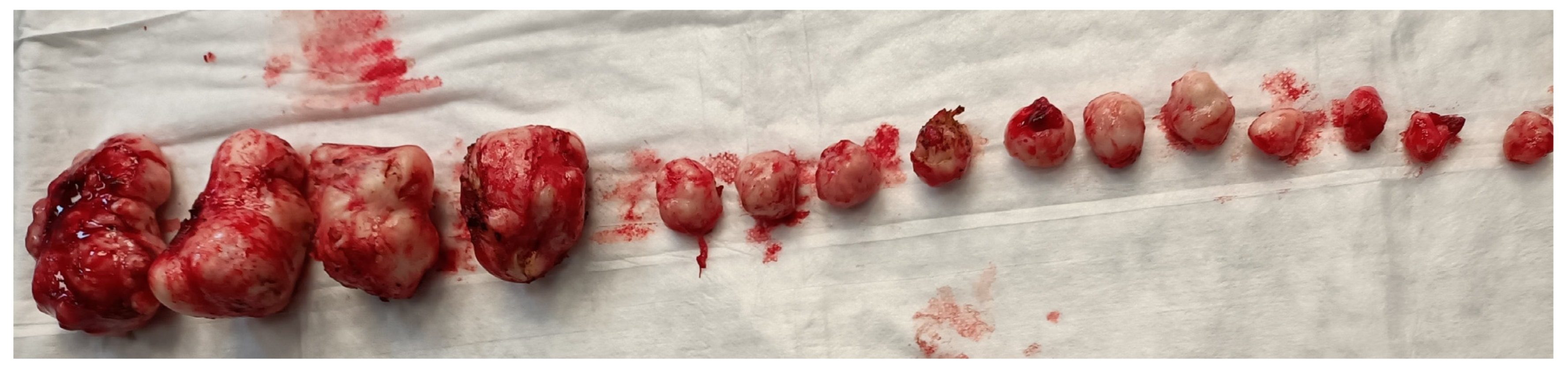 Medsci 13 00068 g002