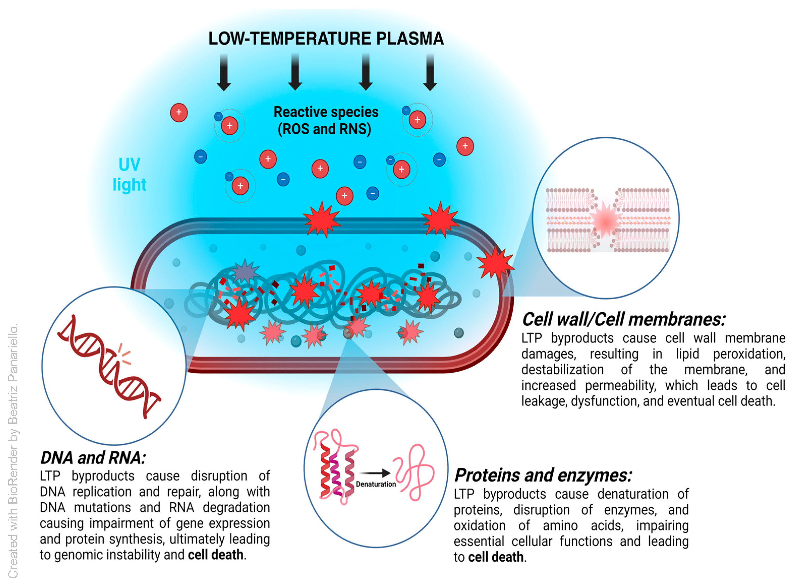 Medsci 13 00079 g002
