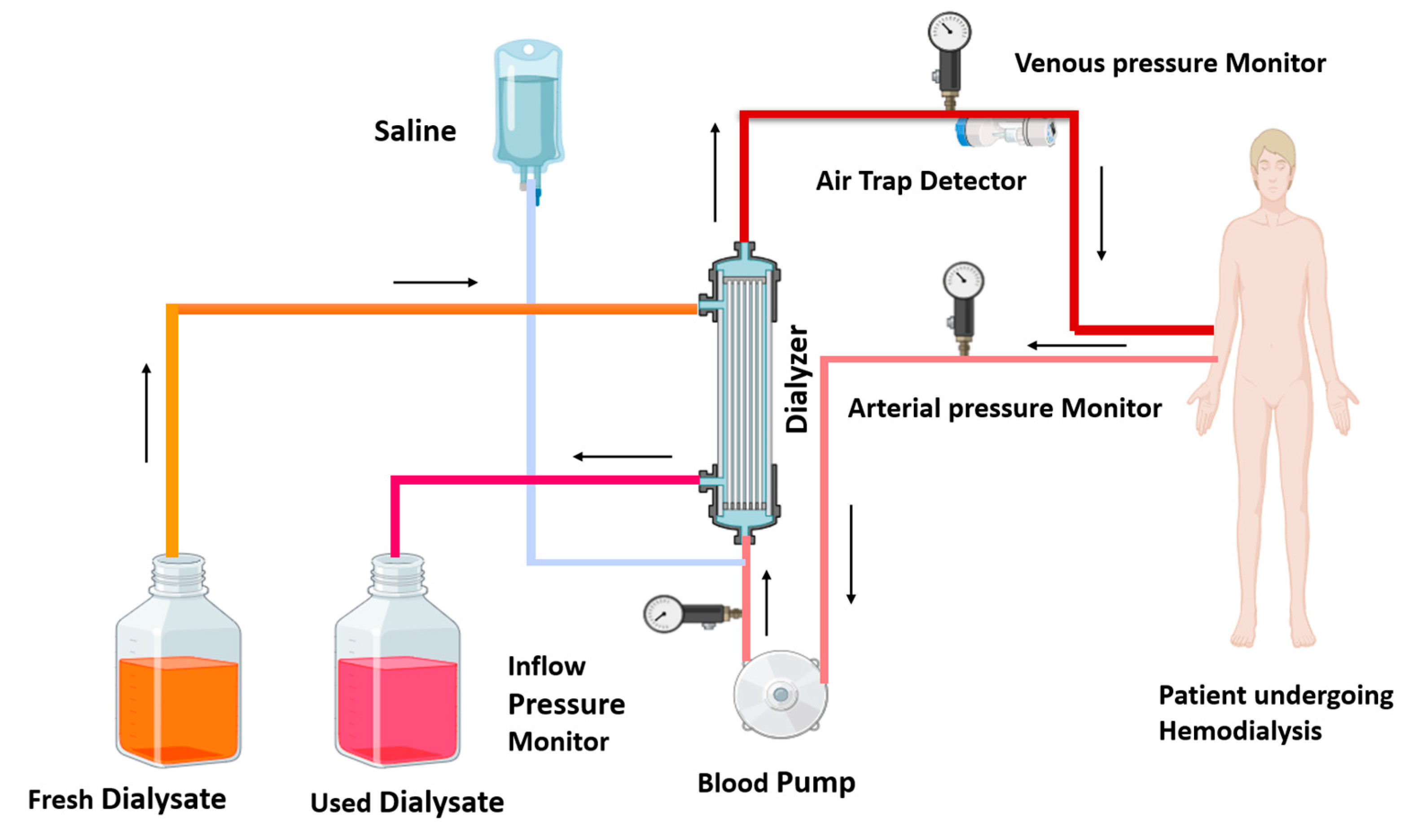 Medsci 13 00080 g001