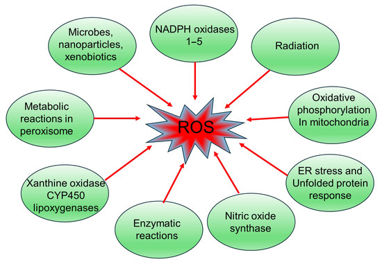 Pathophysiological Mechanisms of Diabetes-Induced