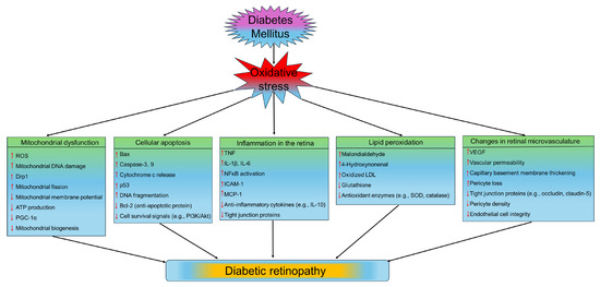 Pathophysiological Mechanisms of Diabetes-Induced
