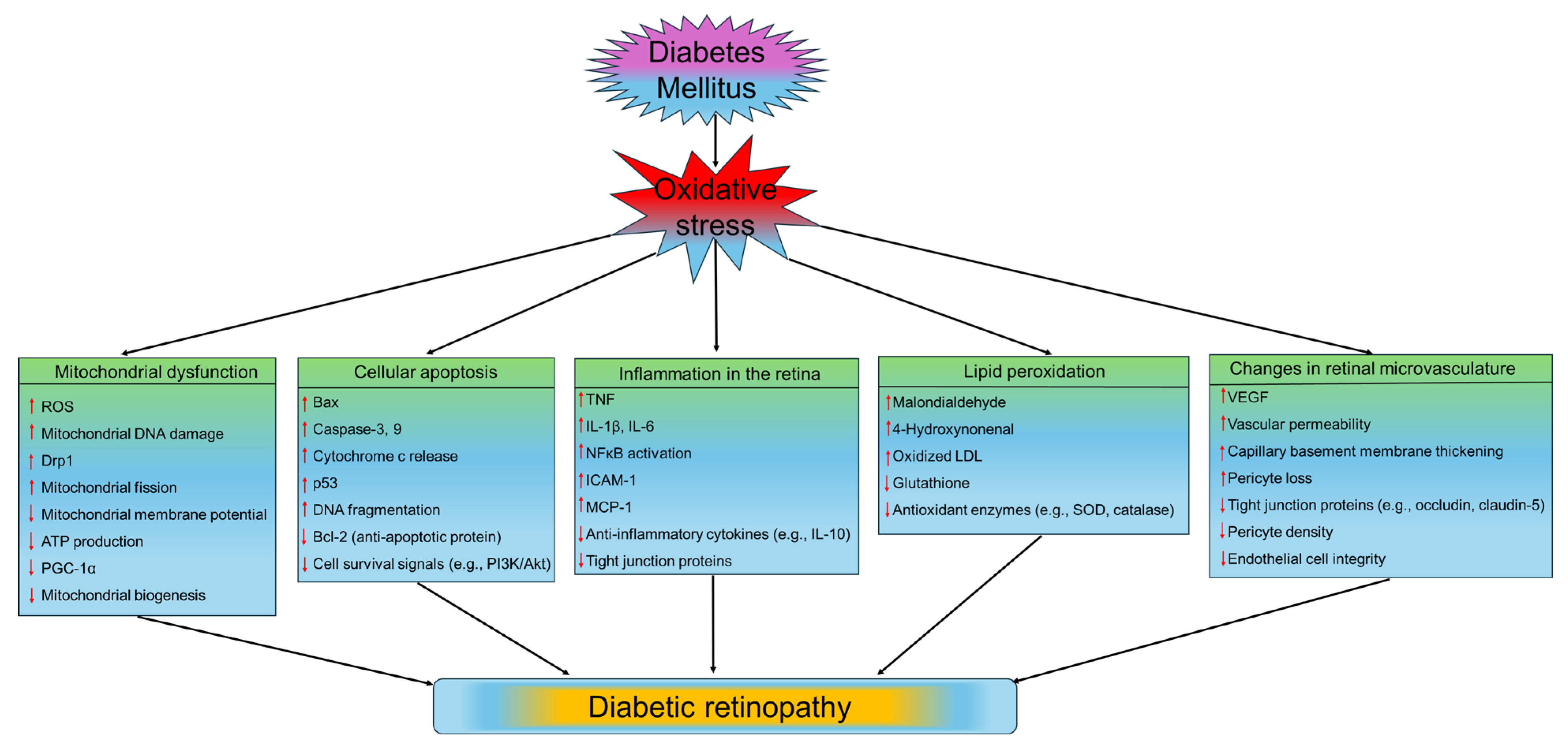 Medsci 13 00087 g004