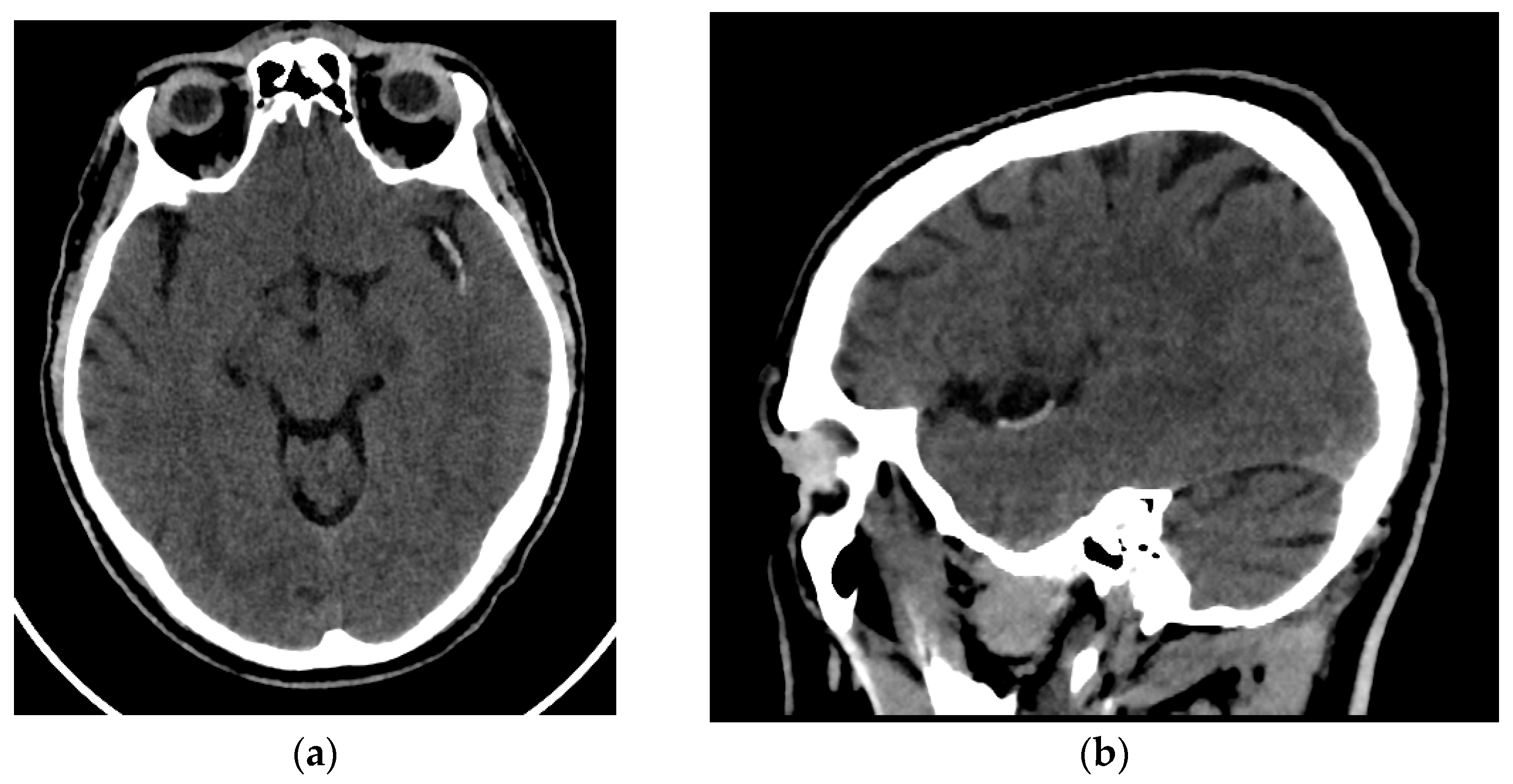 Medsci 13 00098 g001