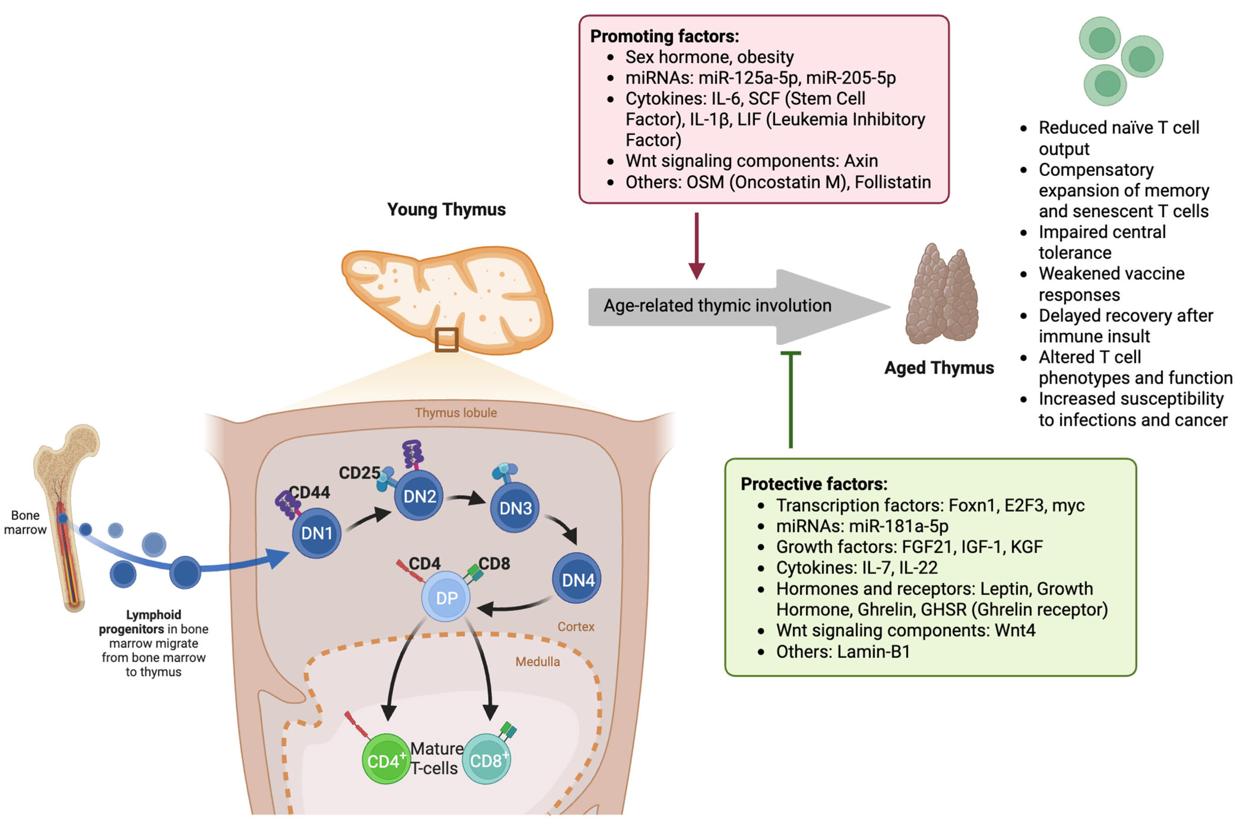 Medsci 13 00100 g001 Medsci 13 00100 g001
