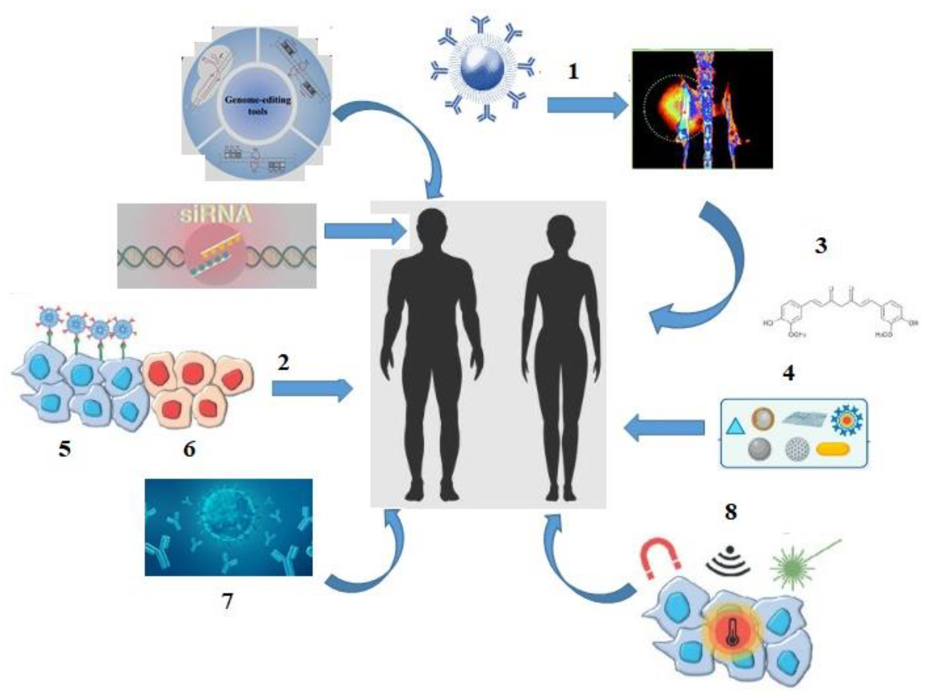 Medsci 13 00107 g002